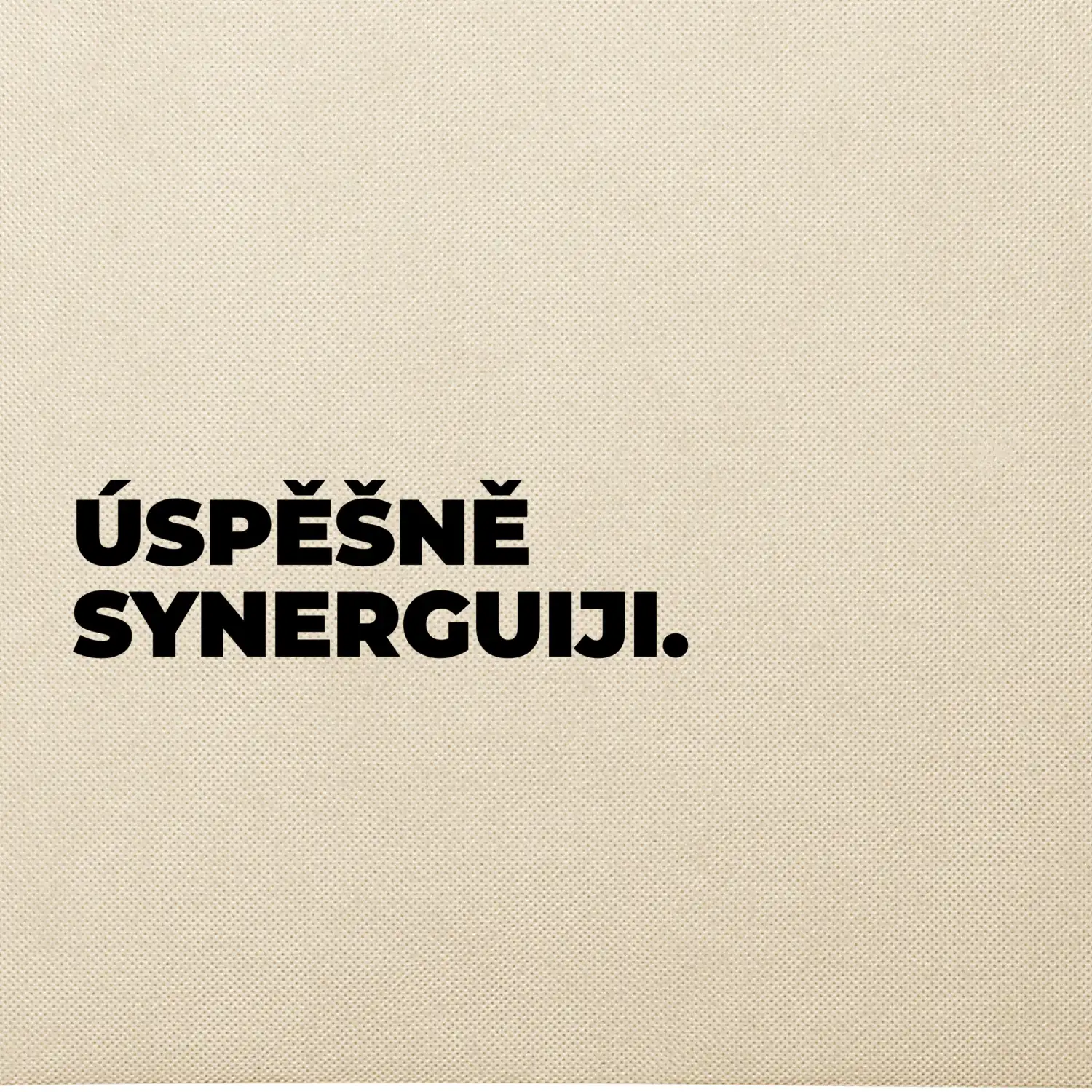 ÚSPĚŠNĚ SYNERGUIJI.