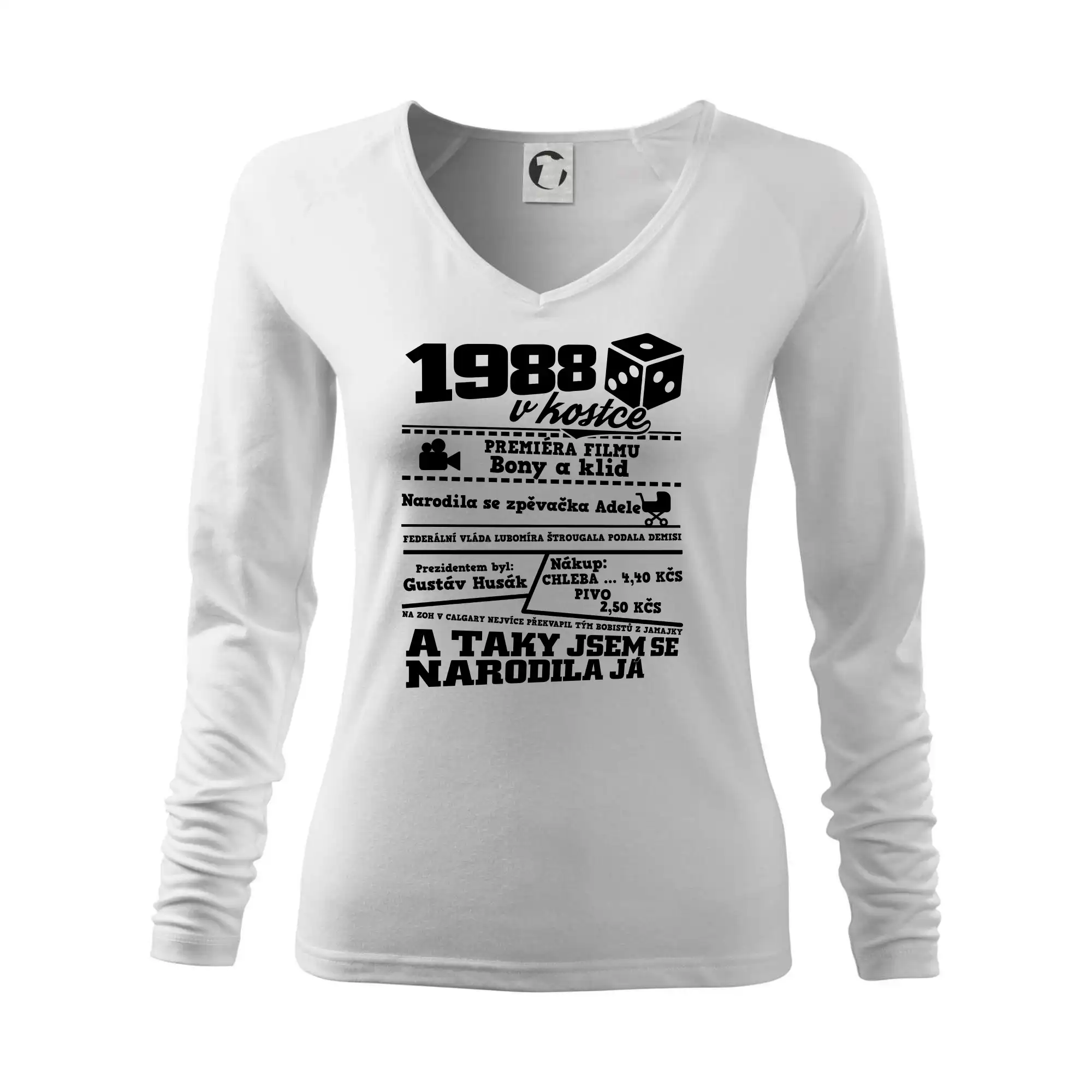 1988 v kostce
