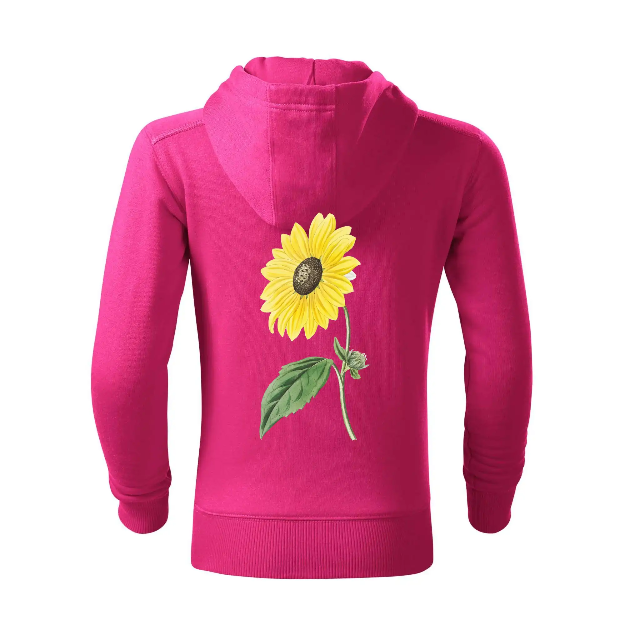 Slunečnice otočená