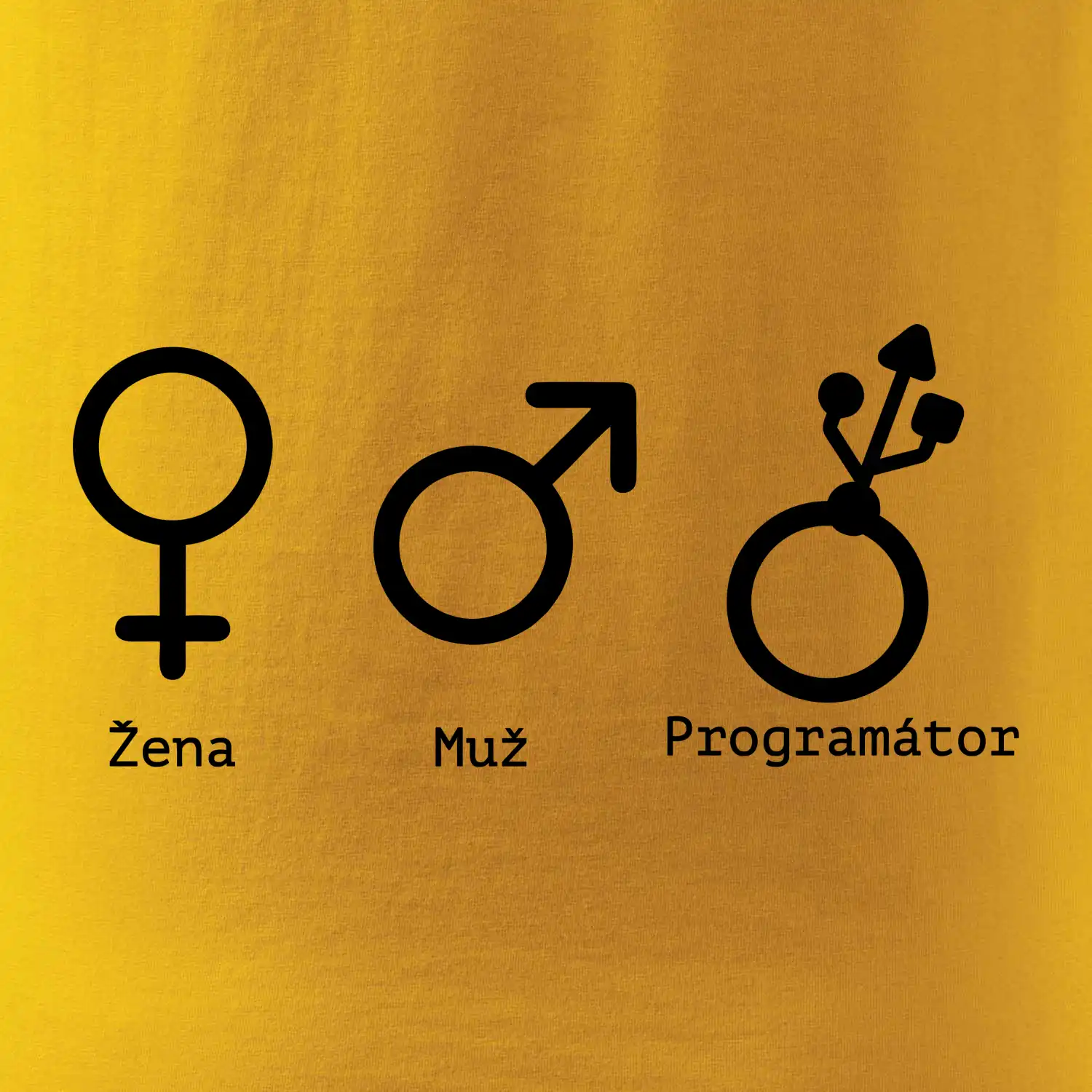 Muž žena programátor