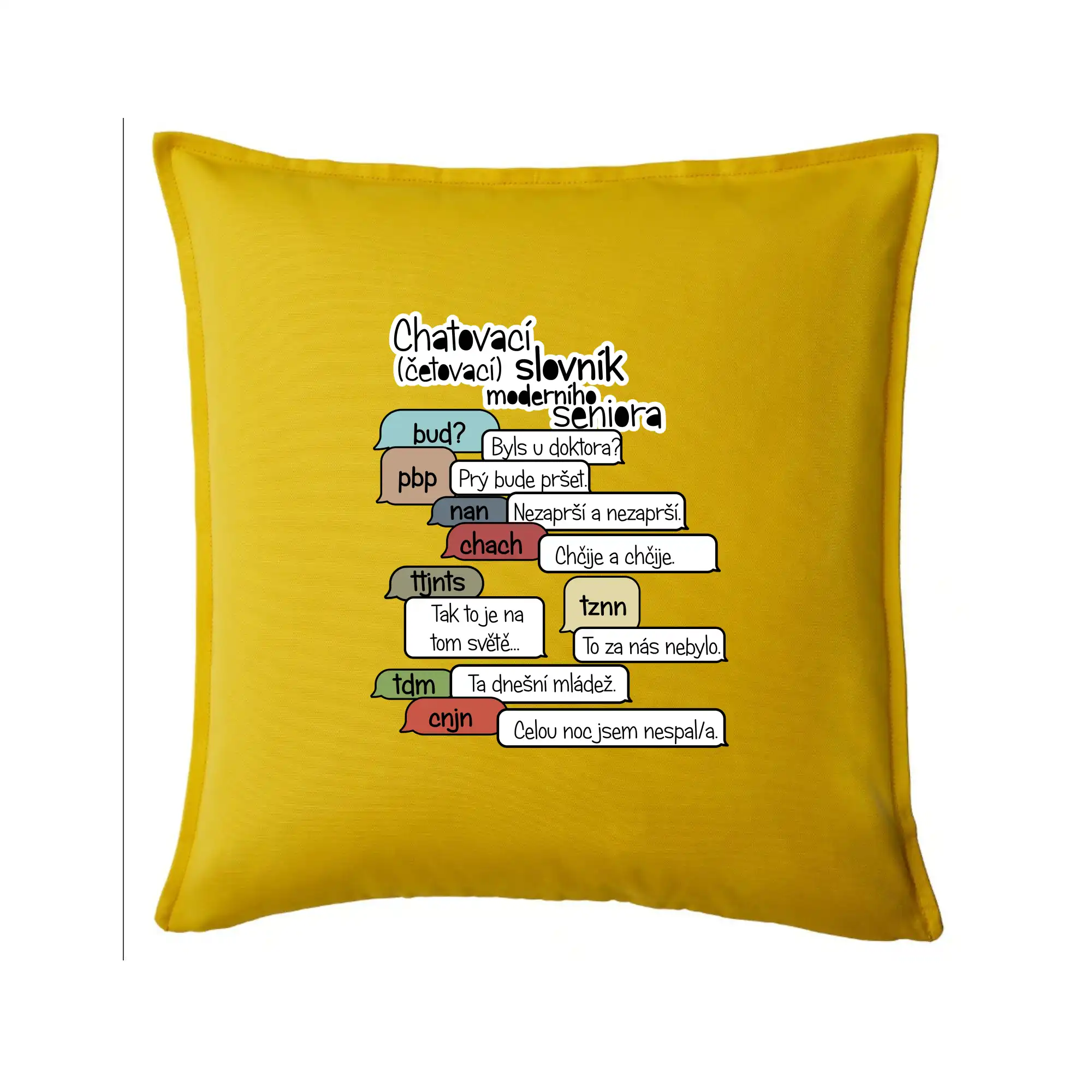 Chatovací slovník moderního seniora (Běžící češtinář)