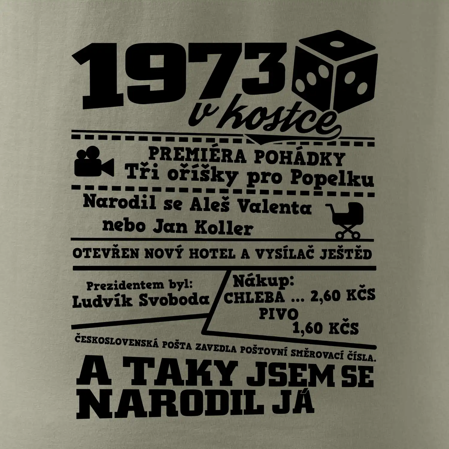 1973 v kostce