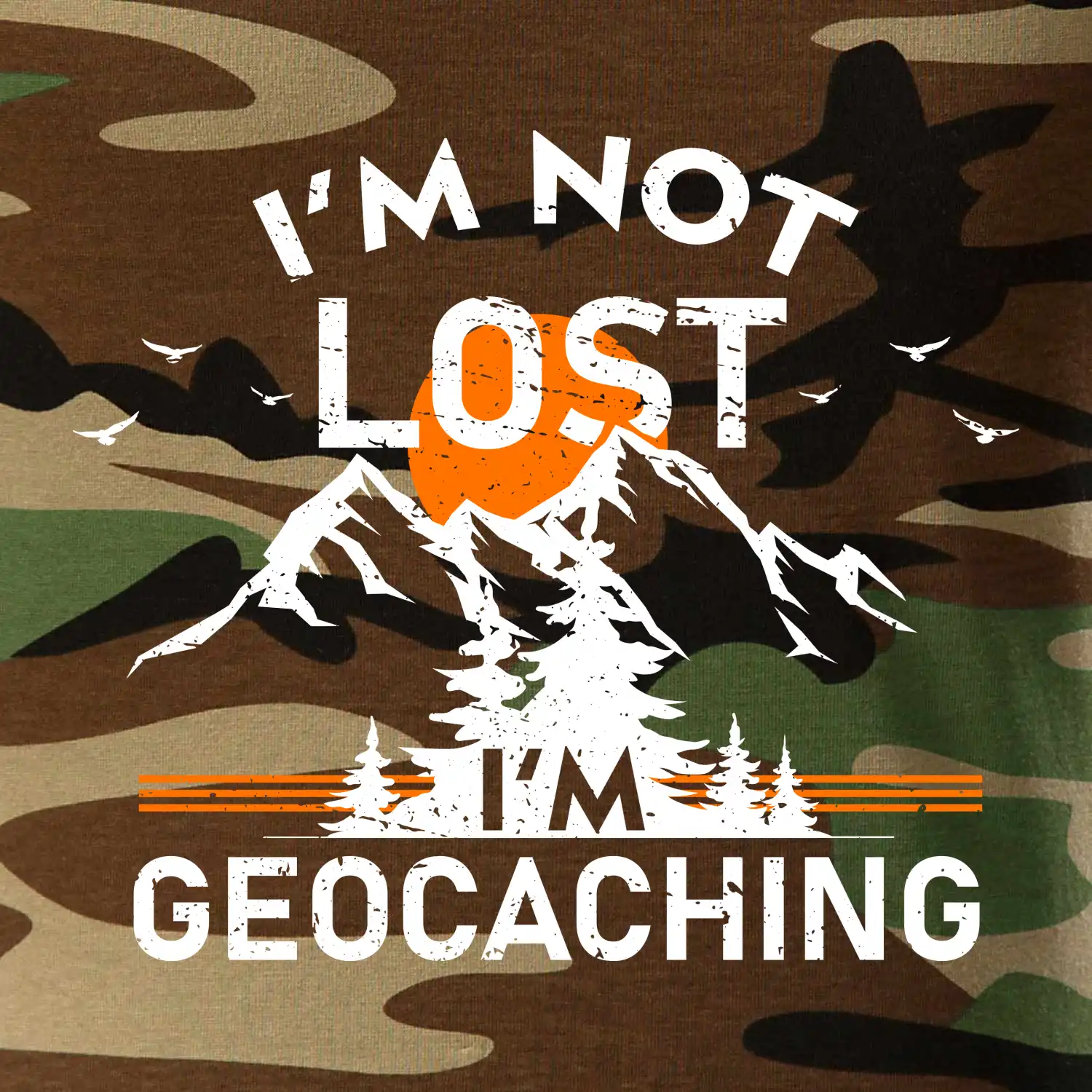 Im not lost - geocaching