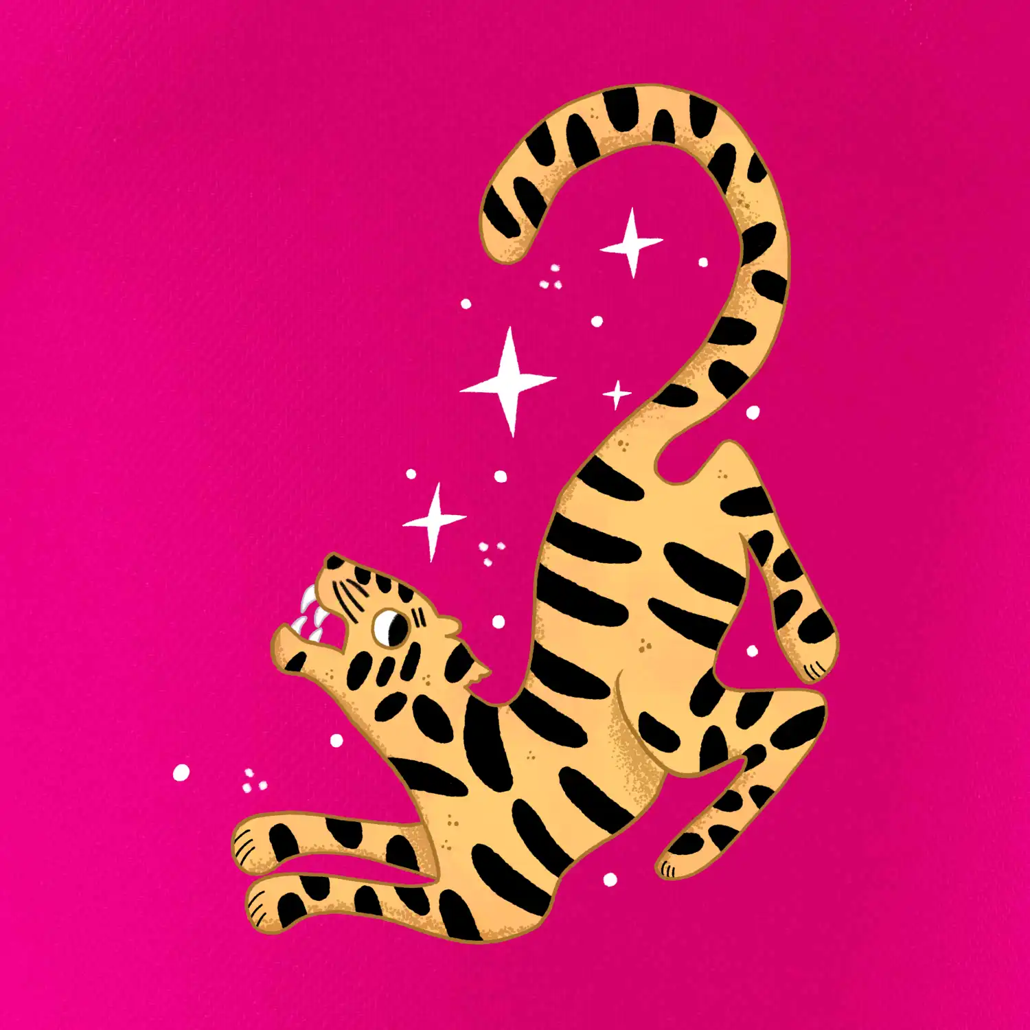 Tygr s hvězdami (studio-arte.cz)