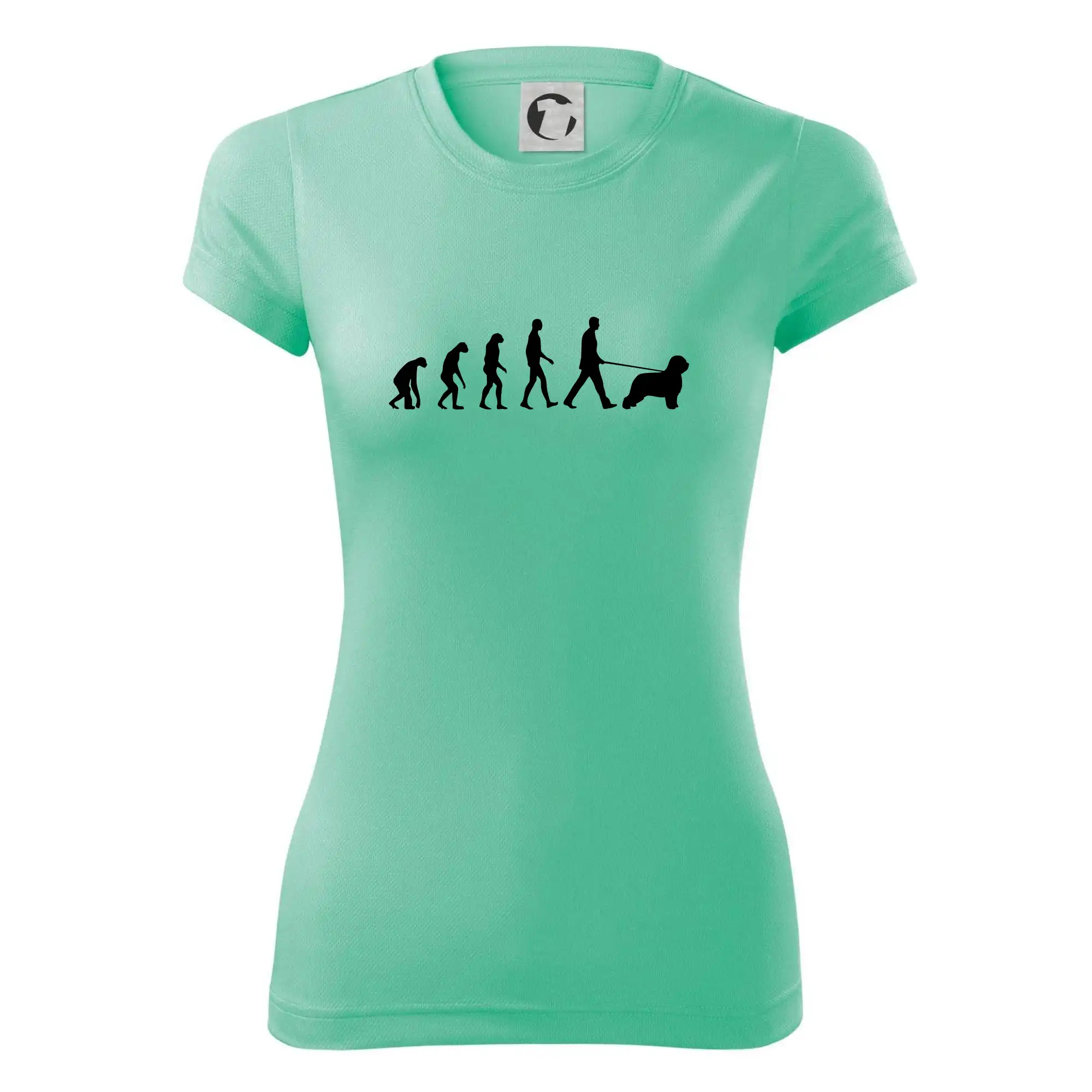 Evoluce pes Briard