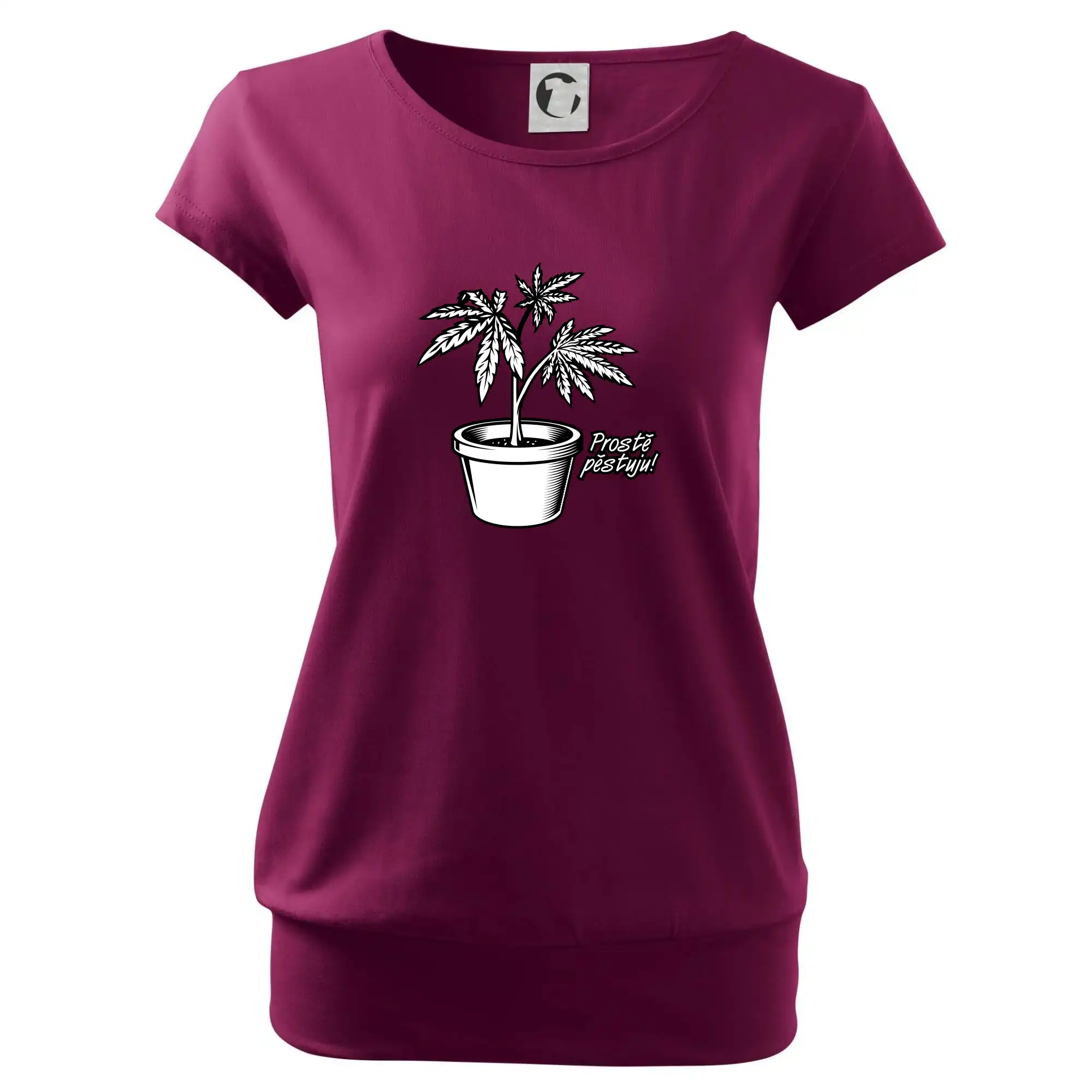 Konopi prostě pěstuju