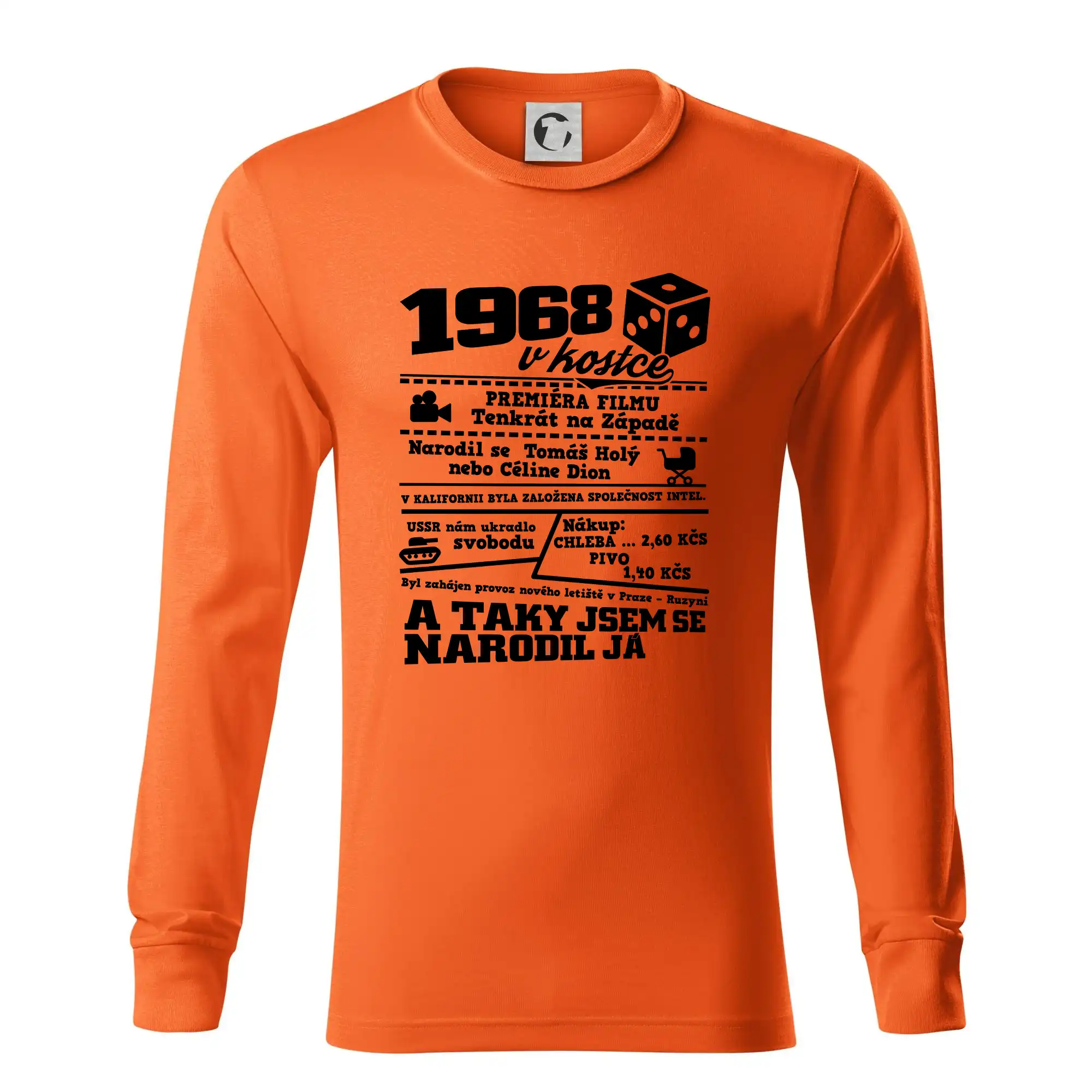 1968 v kostce