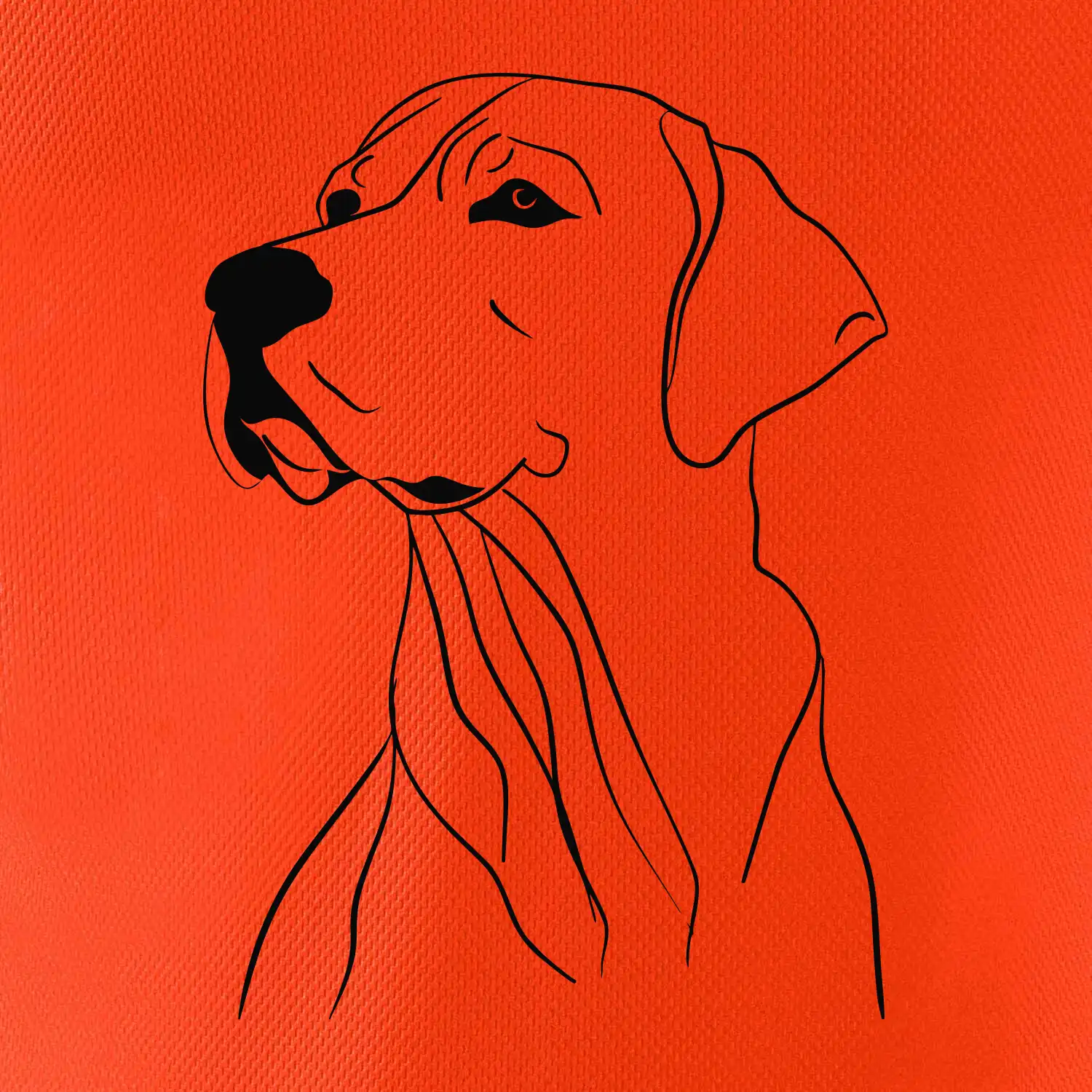 Labrador černá kresba