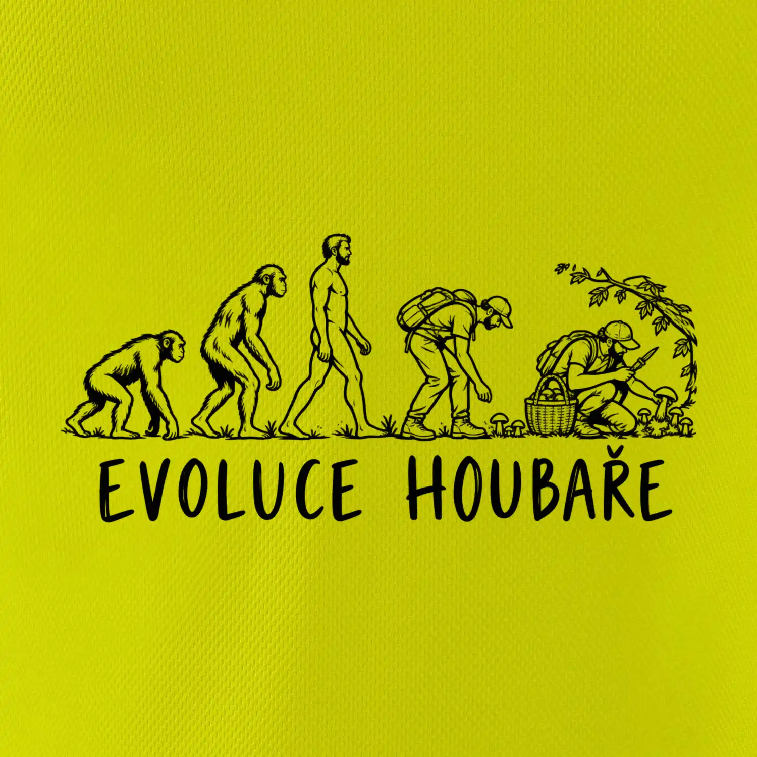 Evoluce houbaře