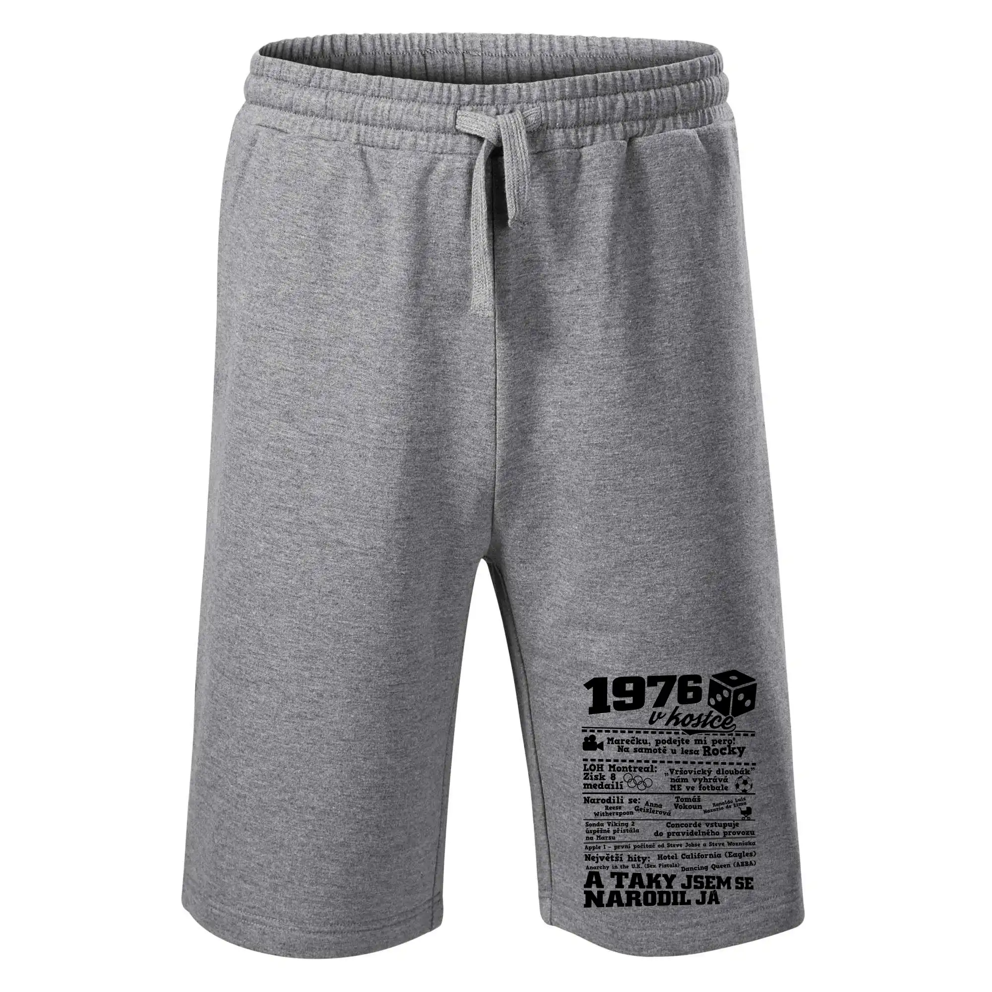 1976 v kostce