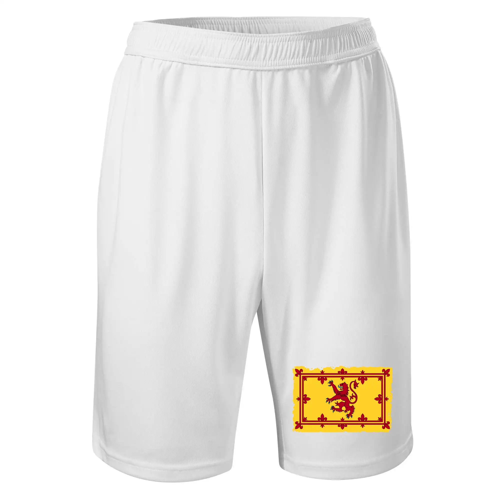 Královský prapor Skotska