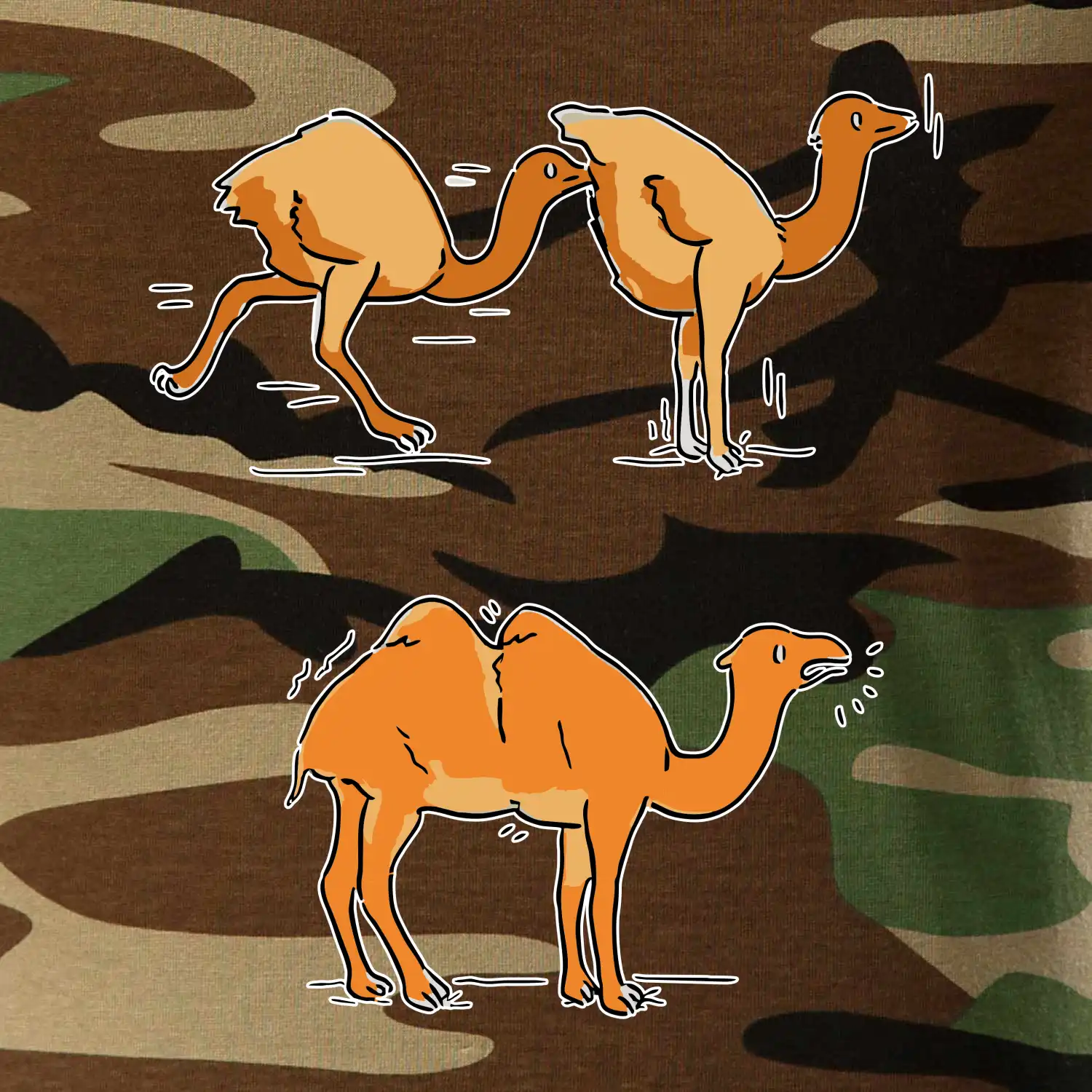 Pravda o velbloudech