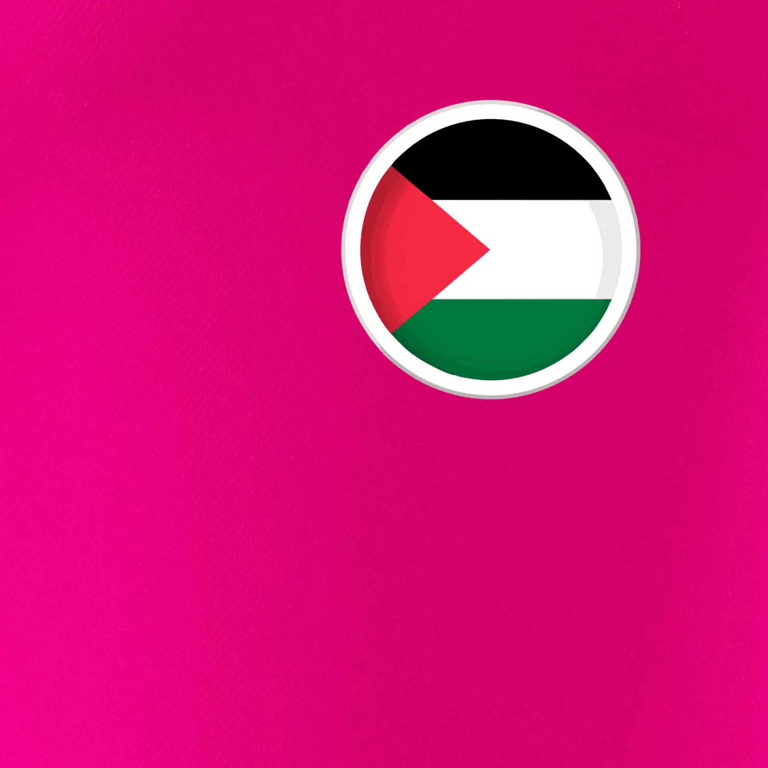 Palestina vlajka prso