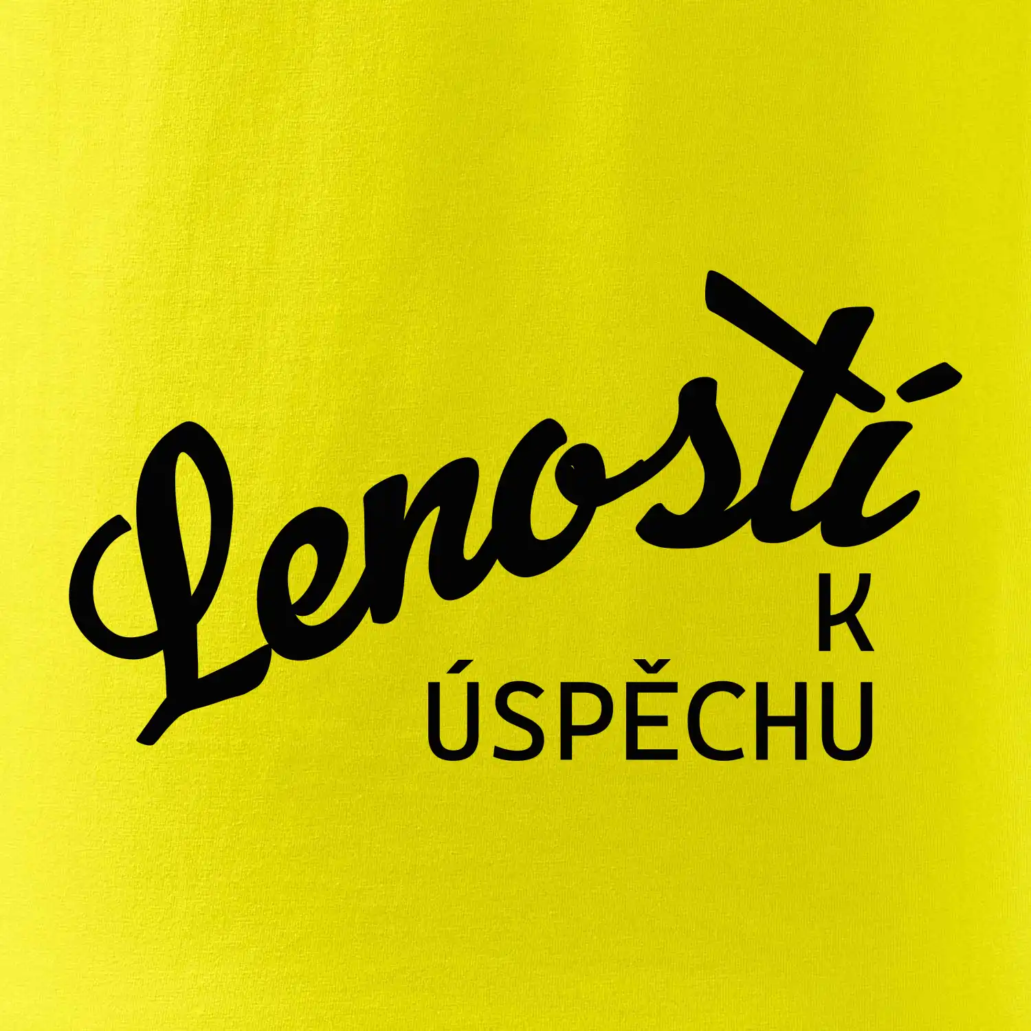 Leností k úspěchu - psací
