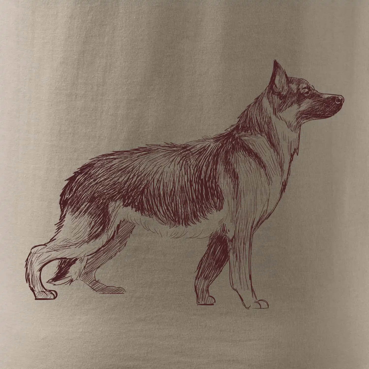 Německý ovčák -  kreslený skica