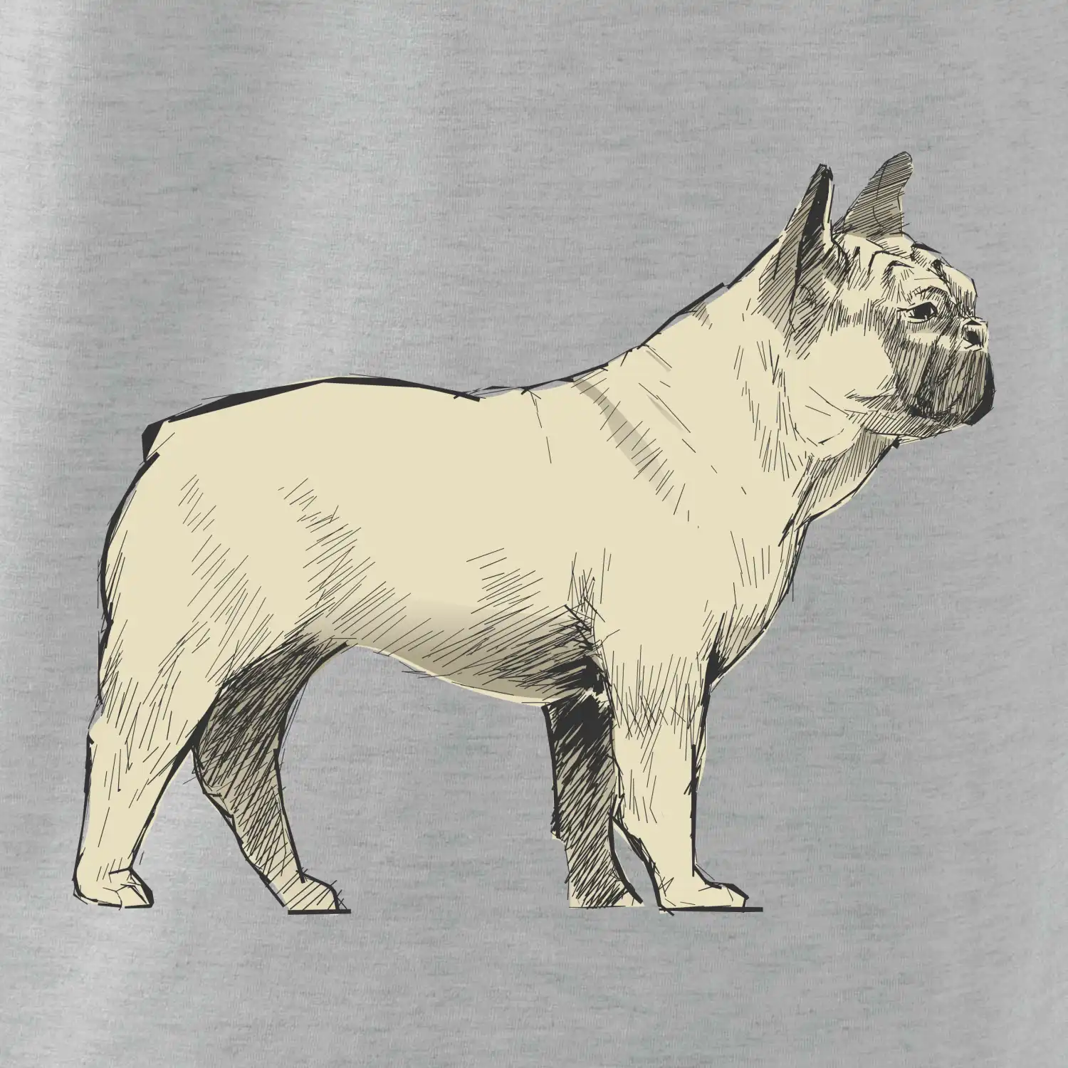 Vintage French bulldog