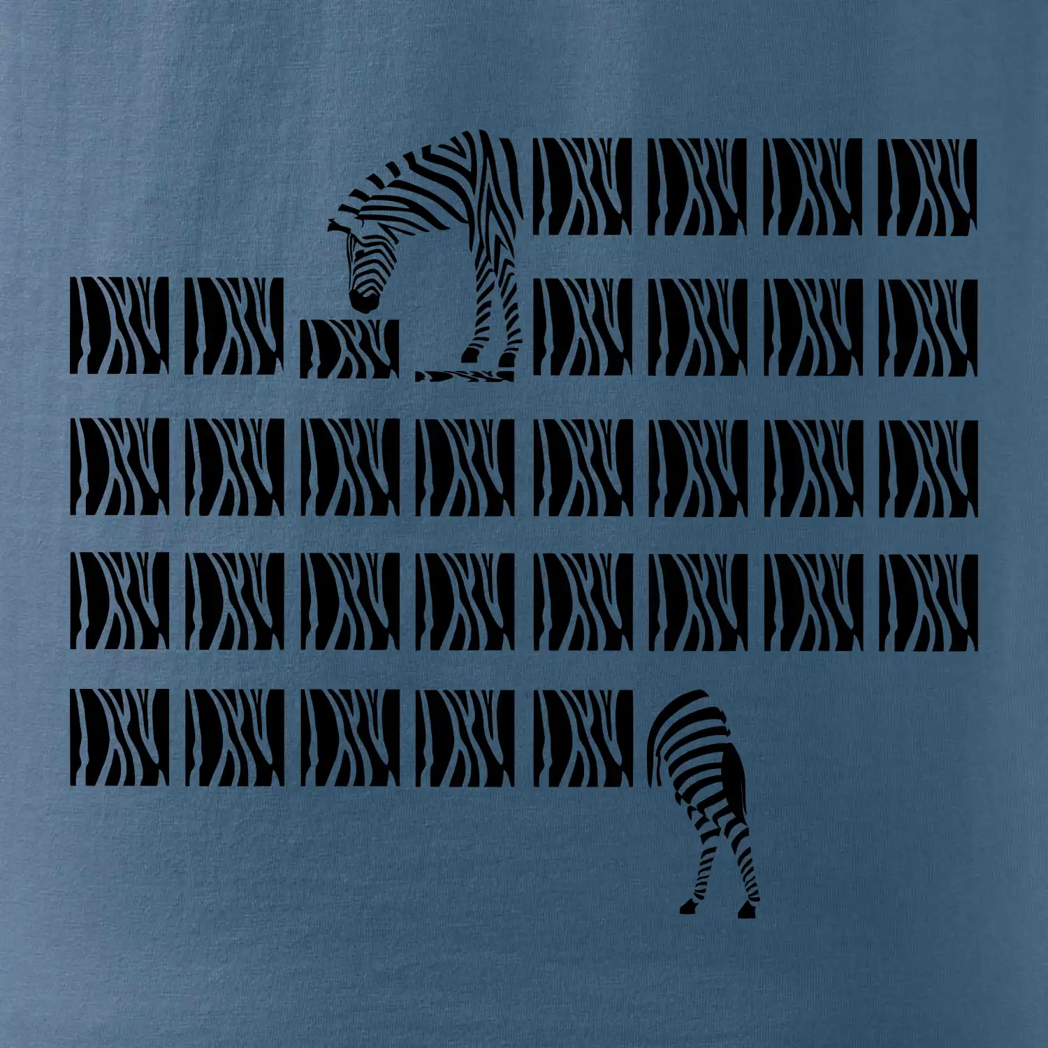 Zebra dlouhá