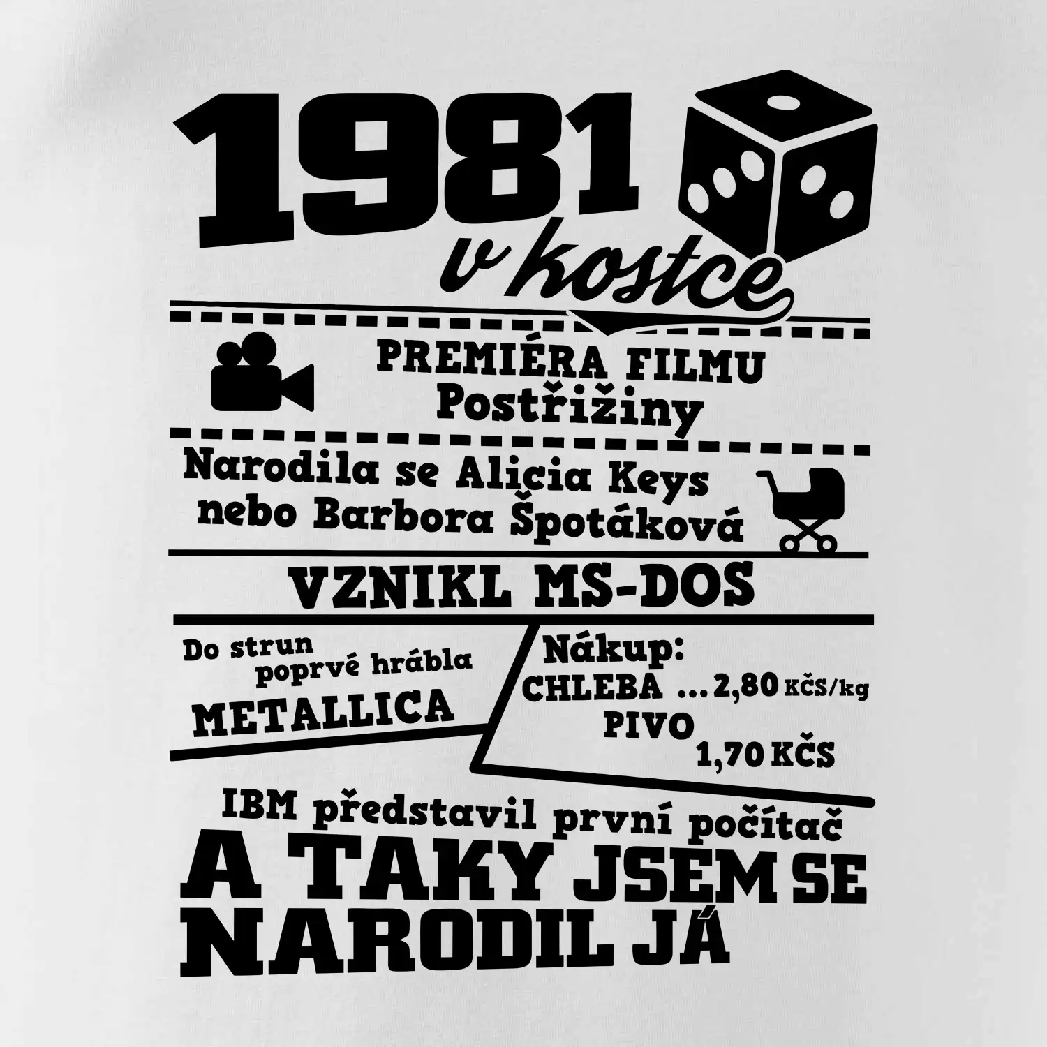 1981 v kostce