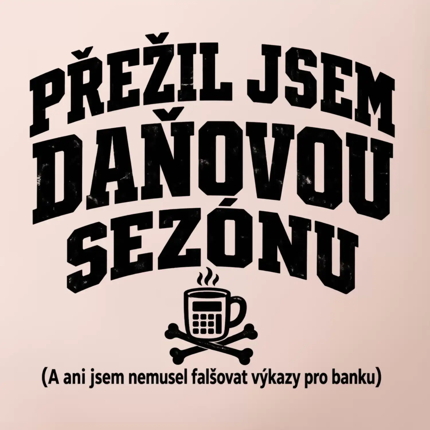 Přežil jsem daňovou sezónu