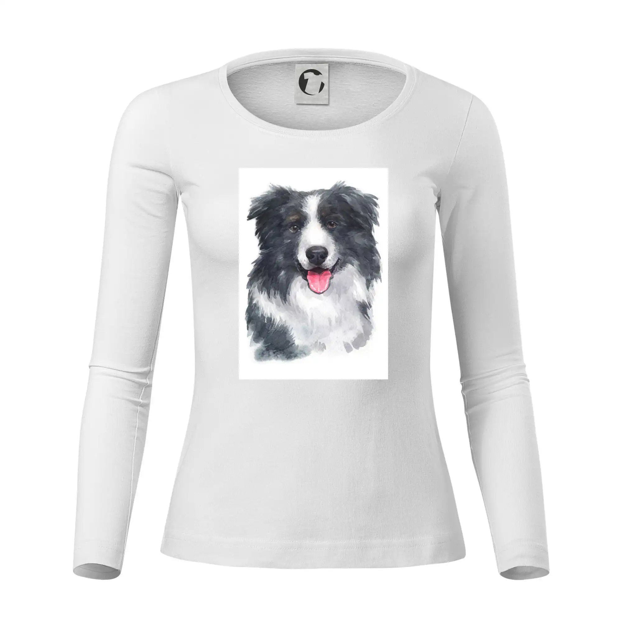 Border kolie vodová barva