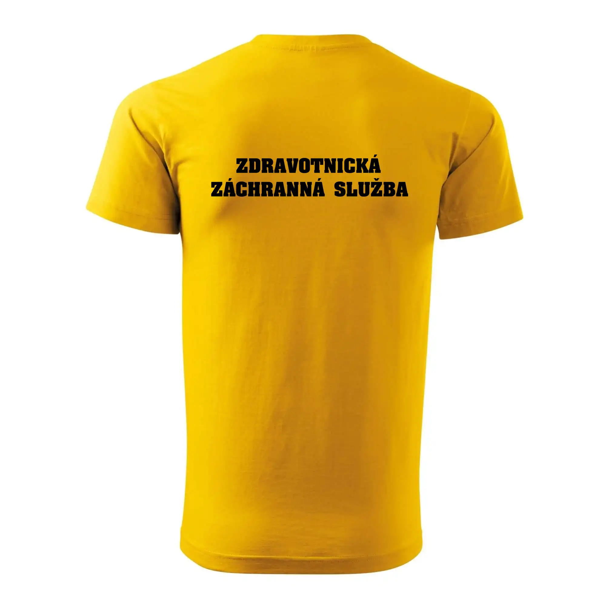 Hvězda života - zdravotnická záchranná služba