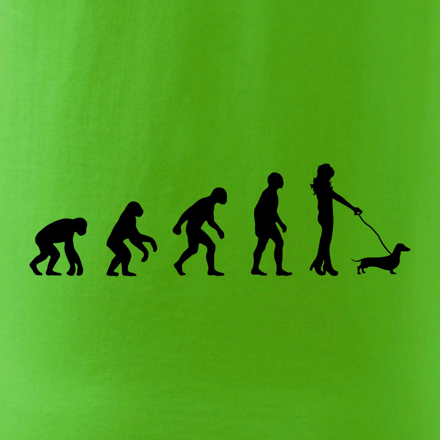 Jezevčík Evoluce žena