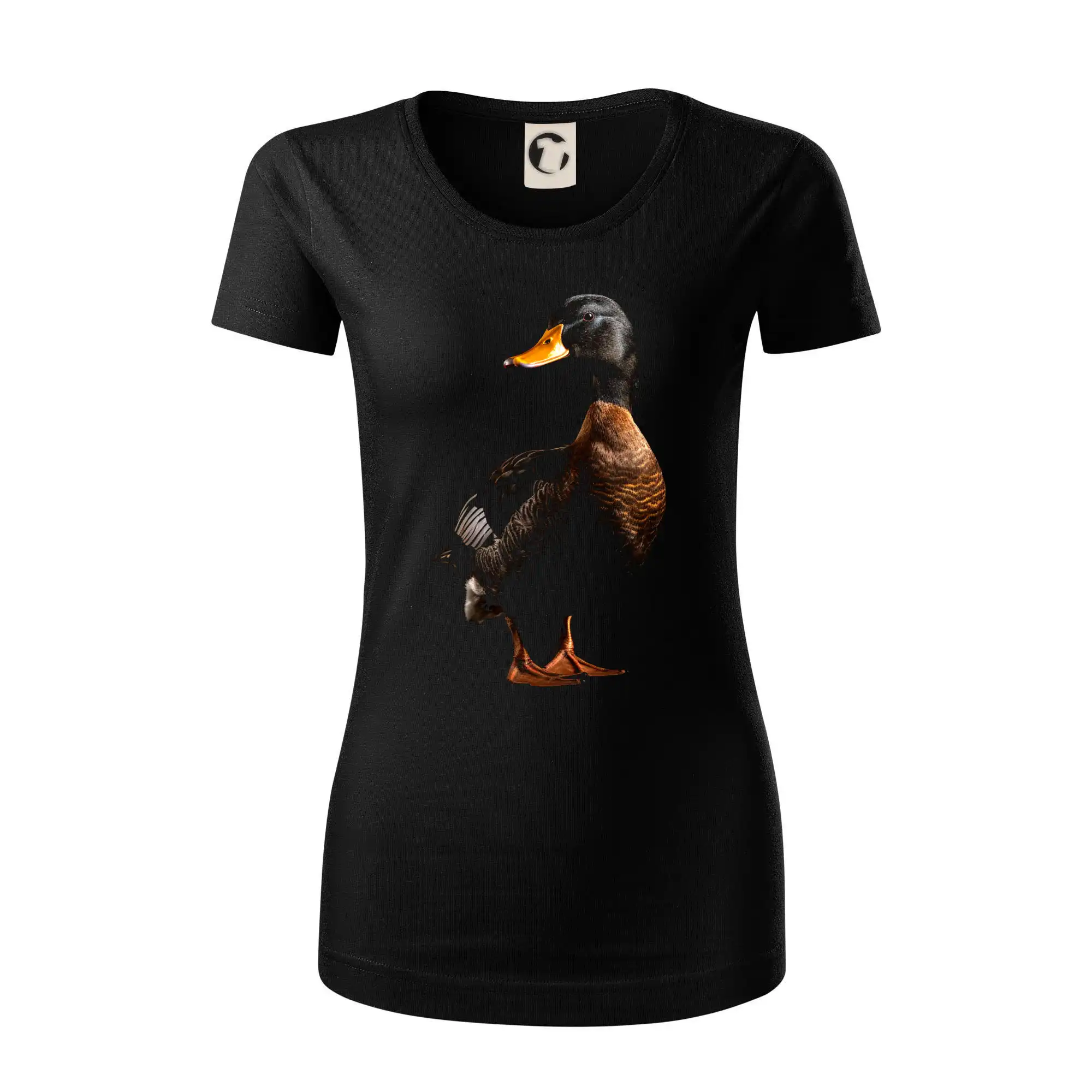 Kachna stojící černá fotka