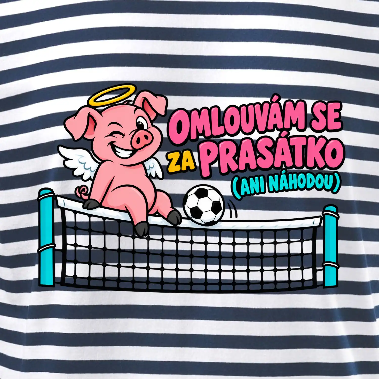 Nohejbalové prasátko na síti