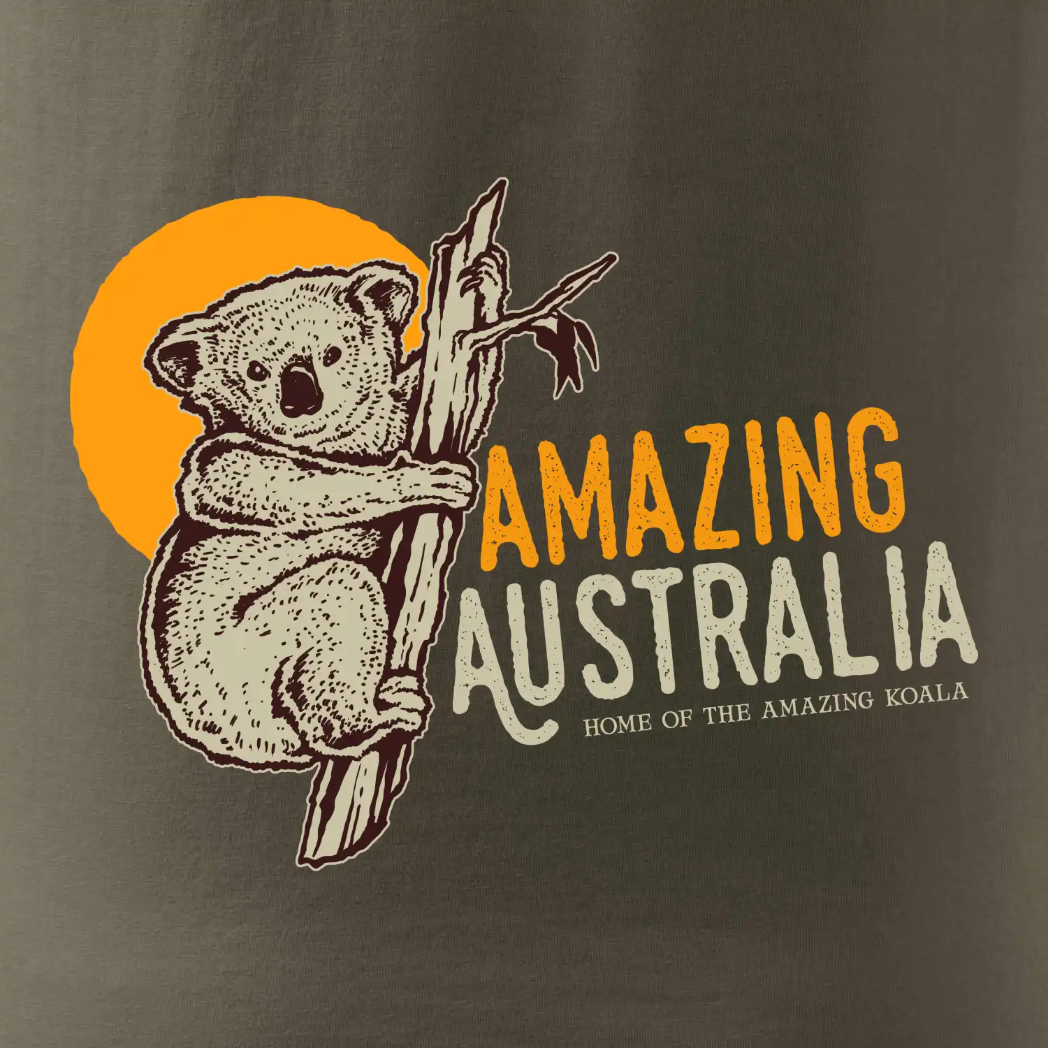 Amazing Australia koala