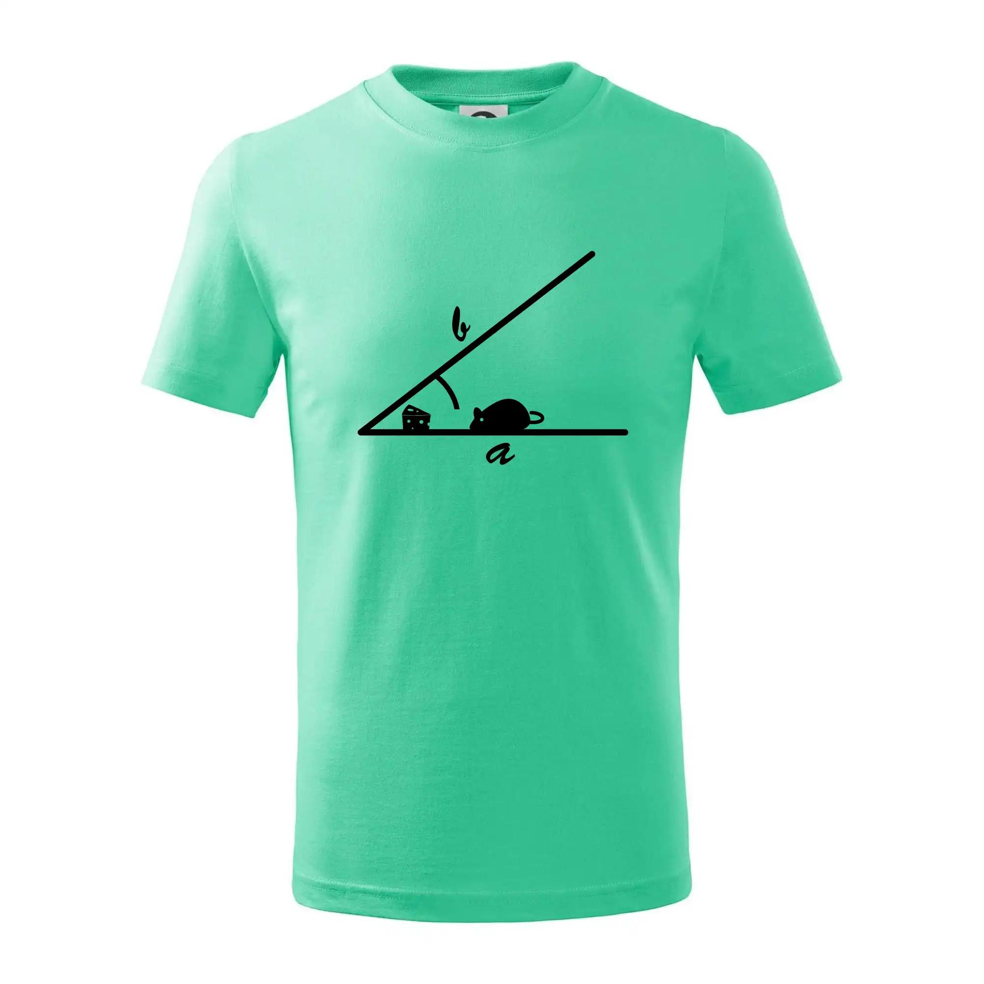 Matematická myš