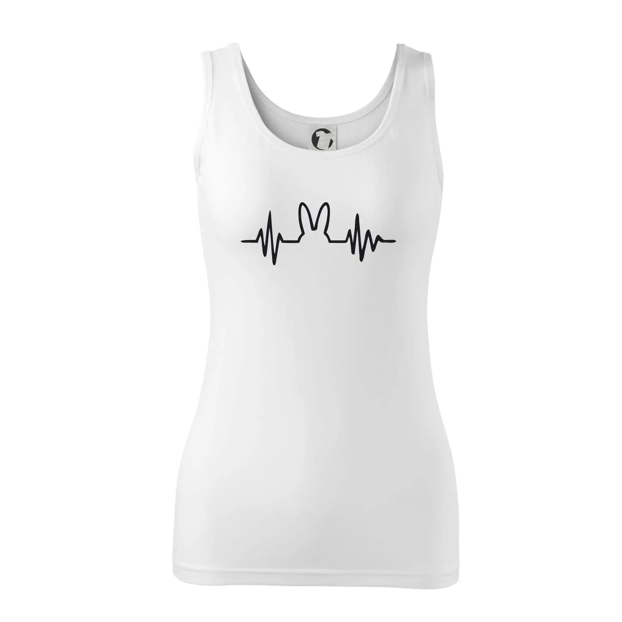 EKG zajíc