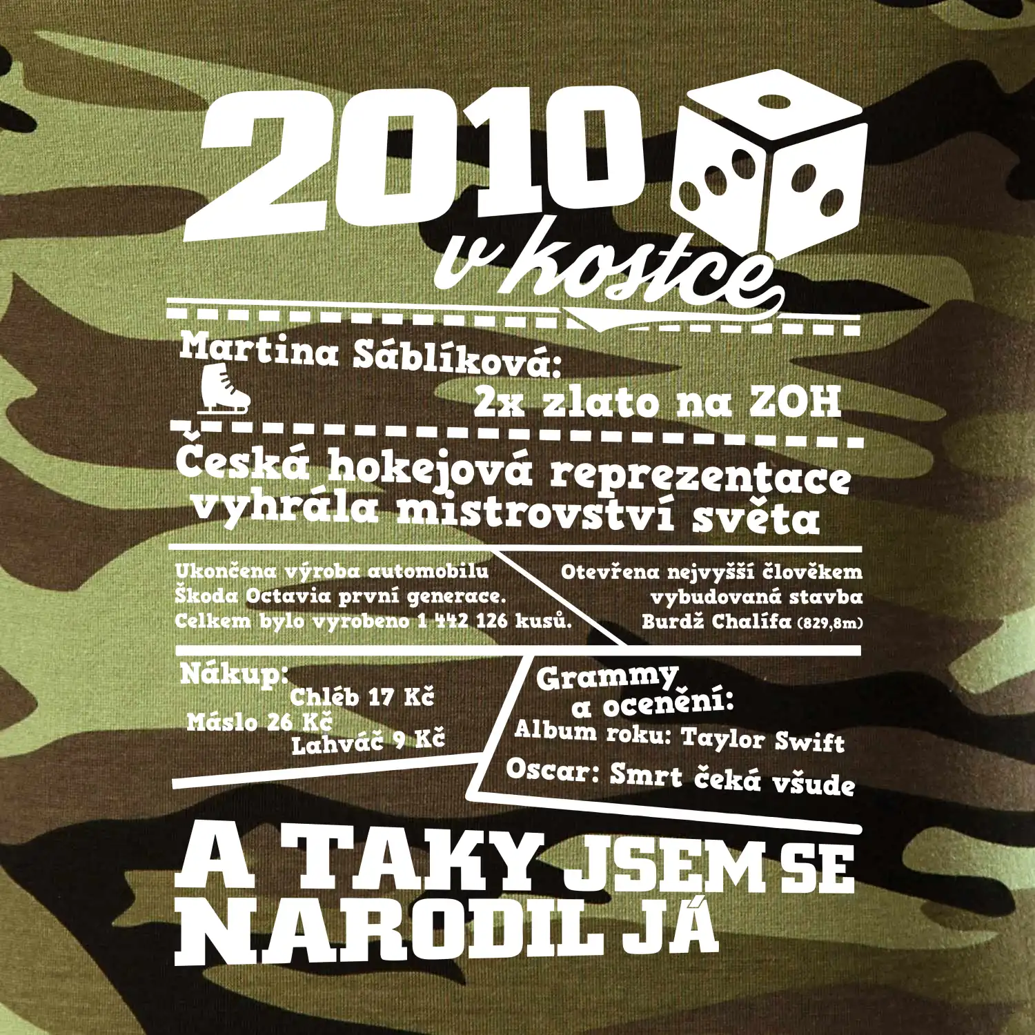 2010 v kostce