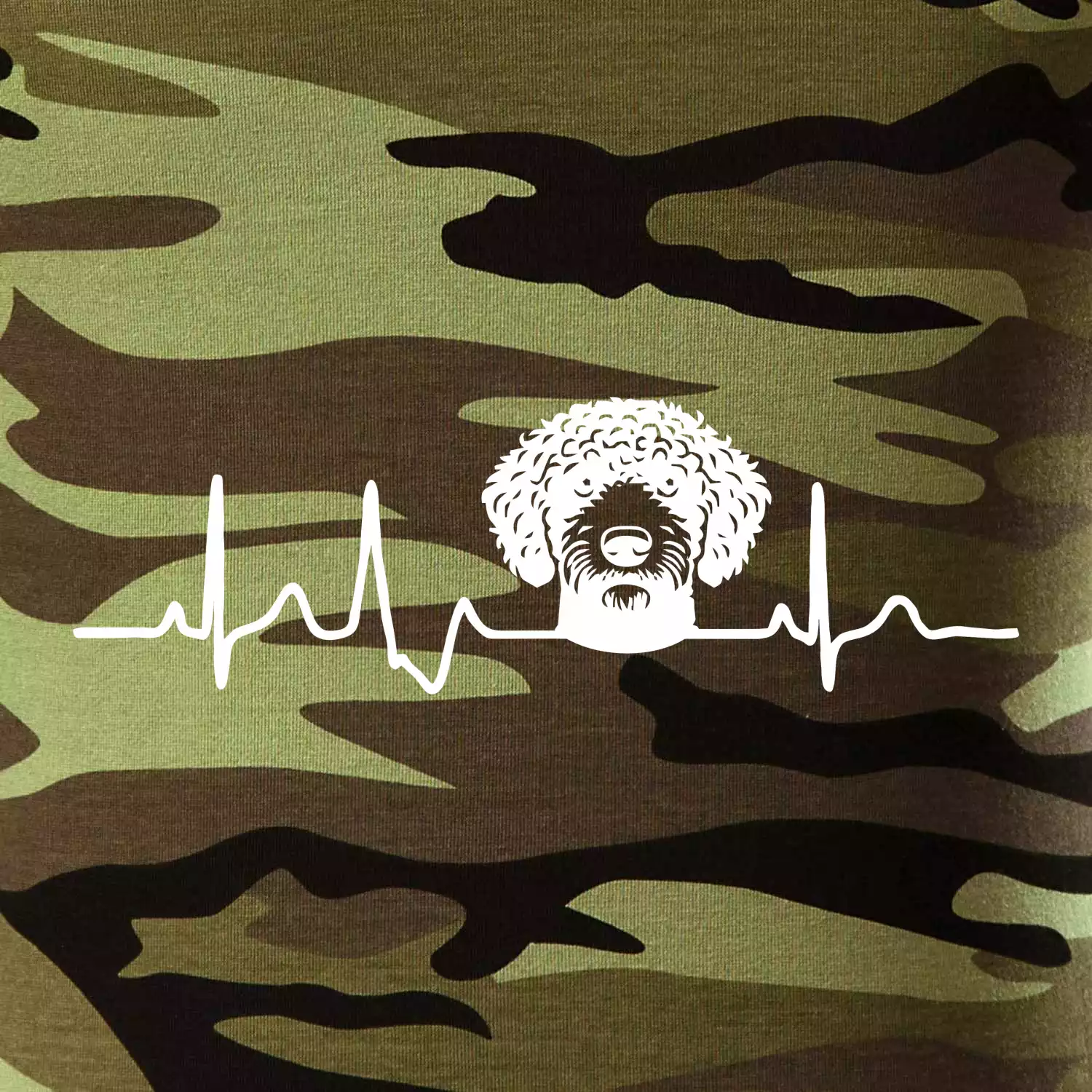 Lagotto romagnolo hlava EKG