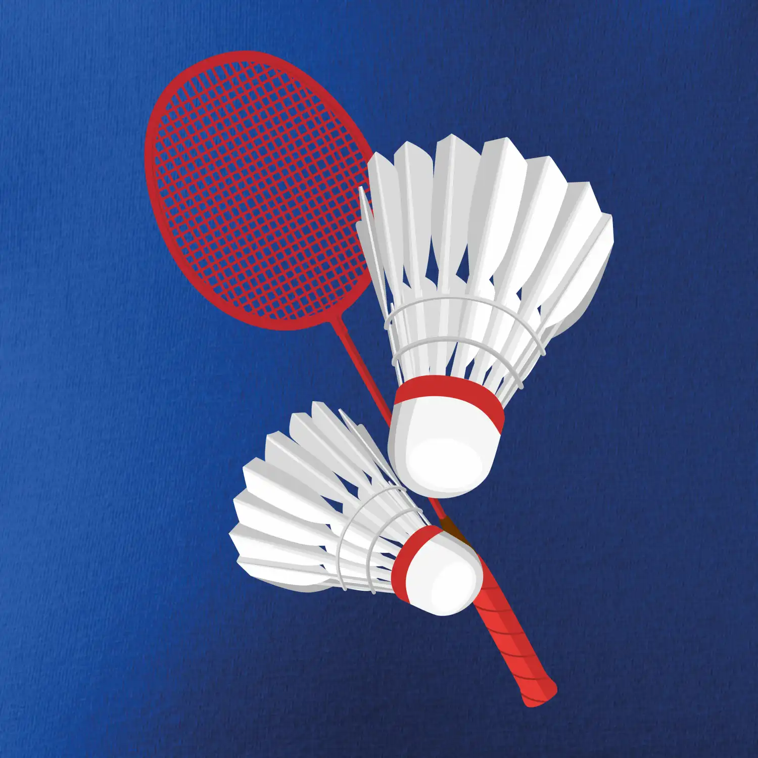 Badminton - pálka a košík
