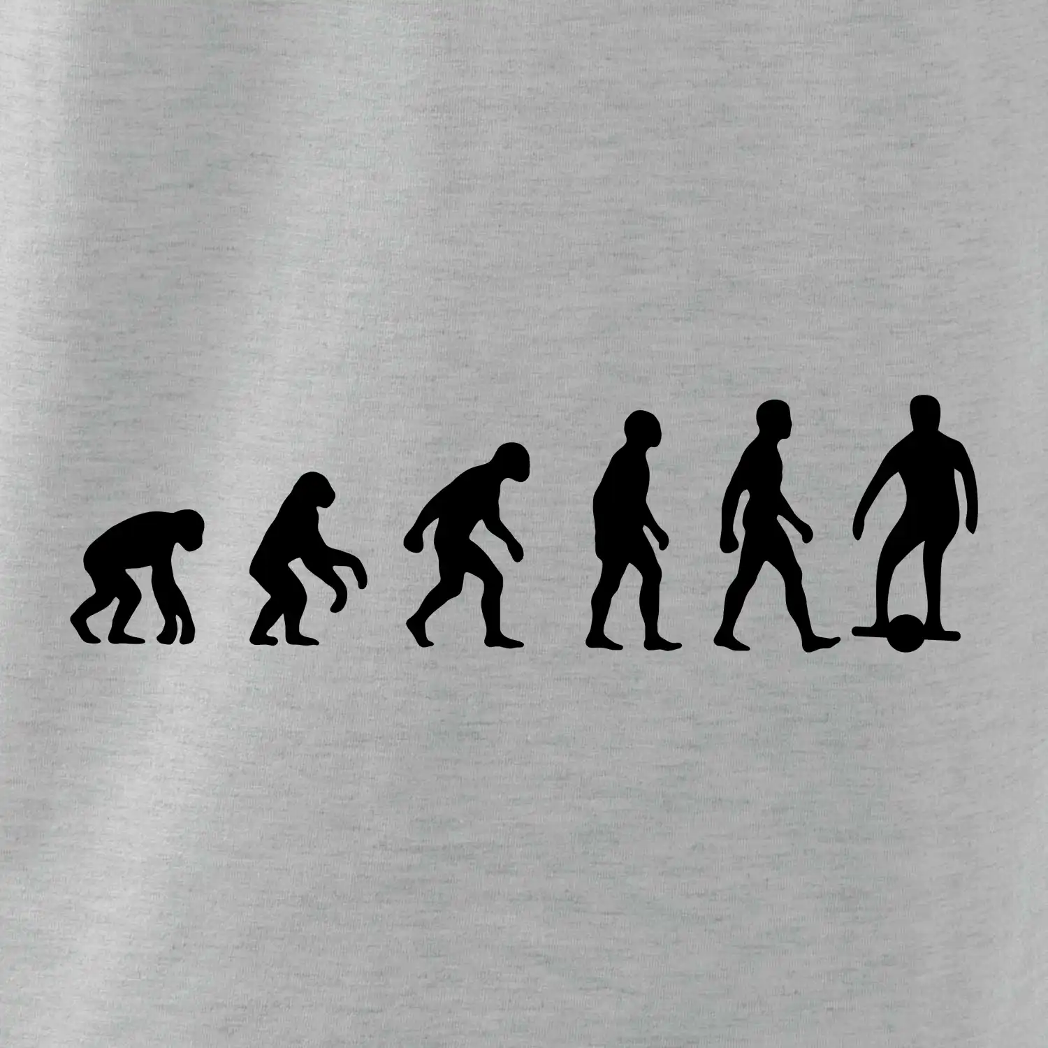 Evoluce onewheel