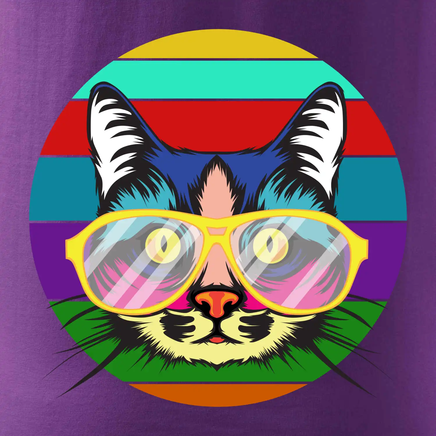 Kočka při barevném západu