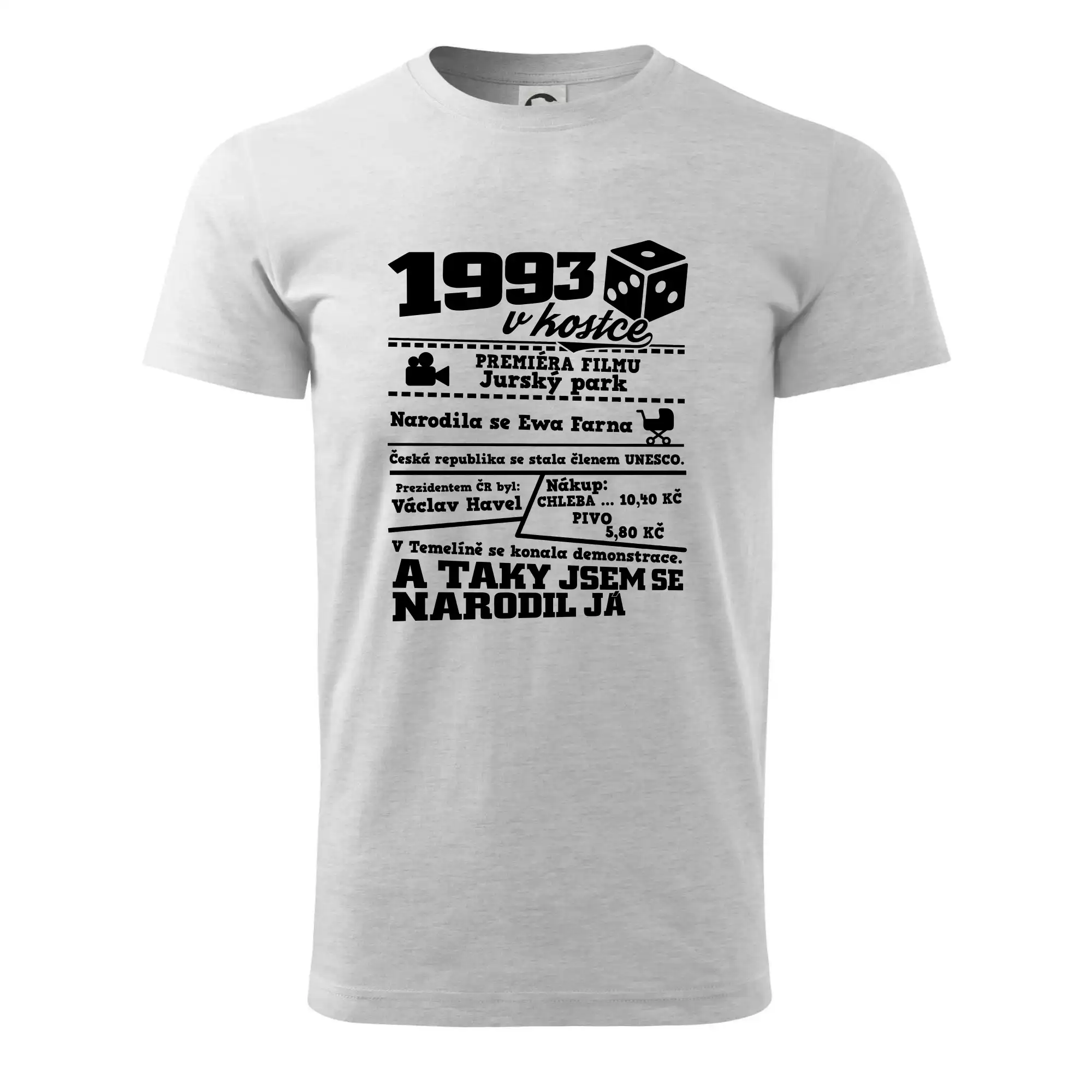 1993 v kostce