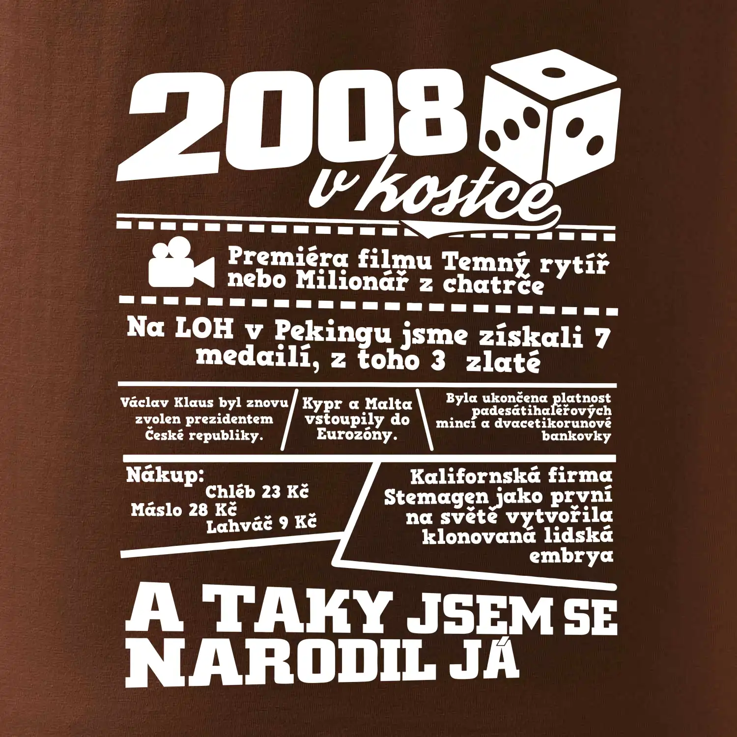 2008 v kostce
