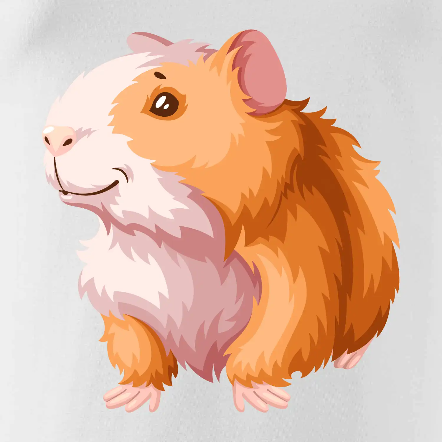 Morče - kreslené, bílo oranžové