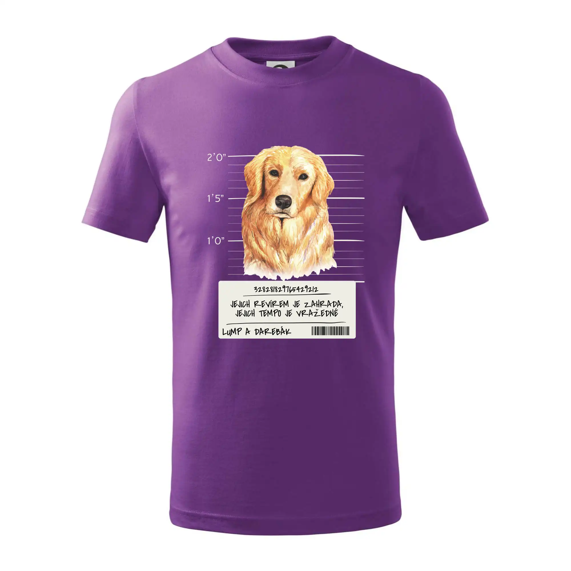 Lump a darebák zlatý retrívr