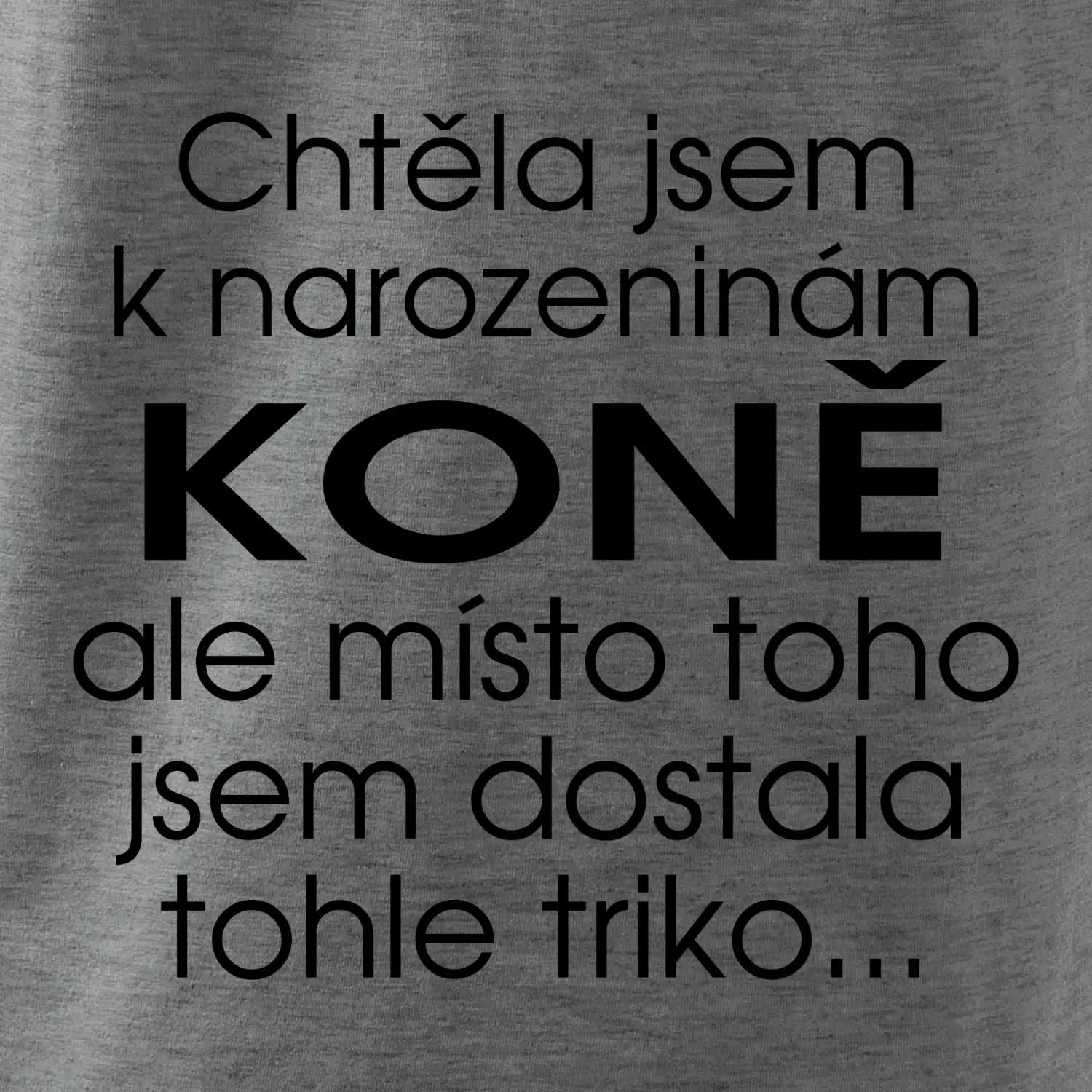Chtěla jsem dostat k narozeninám koně