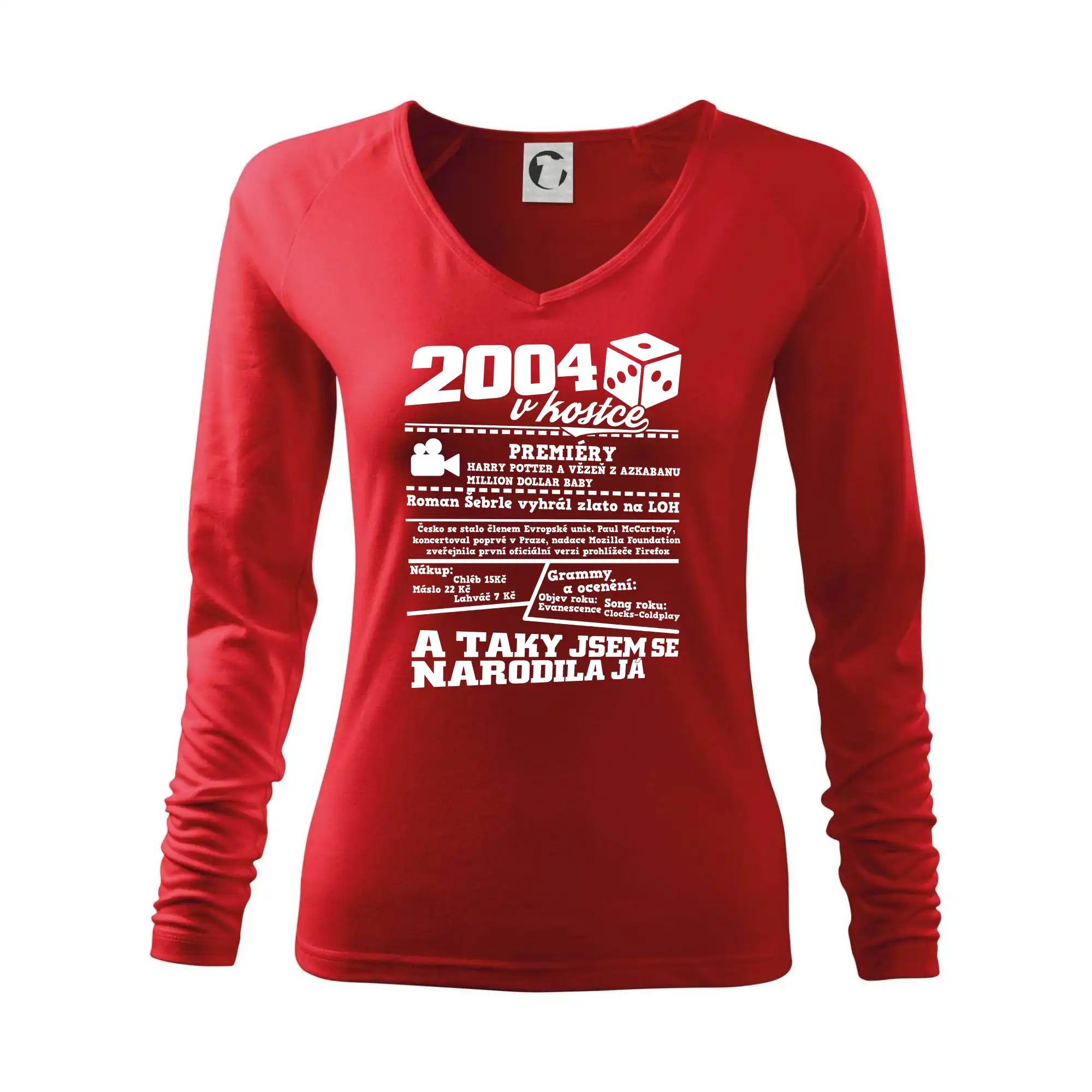 2004 v kostce