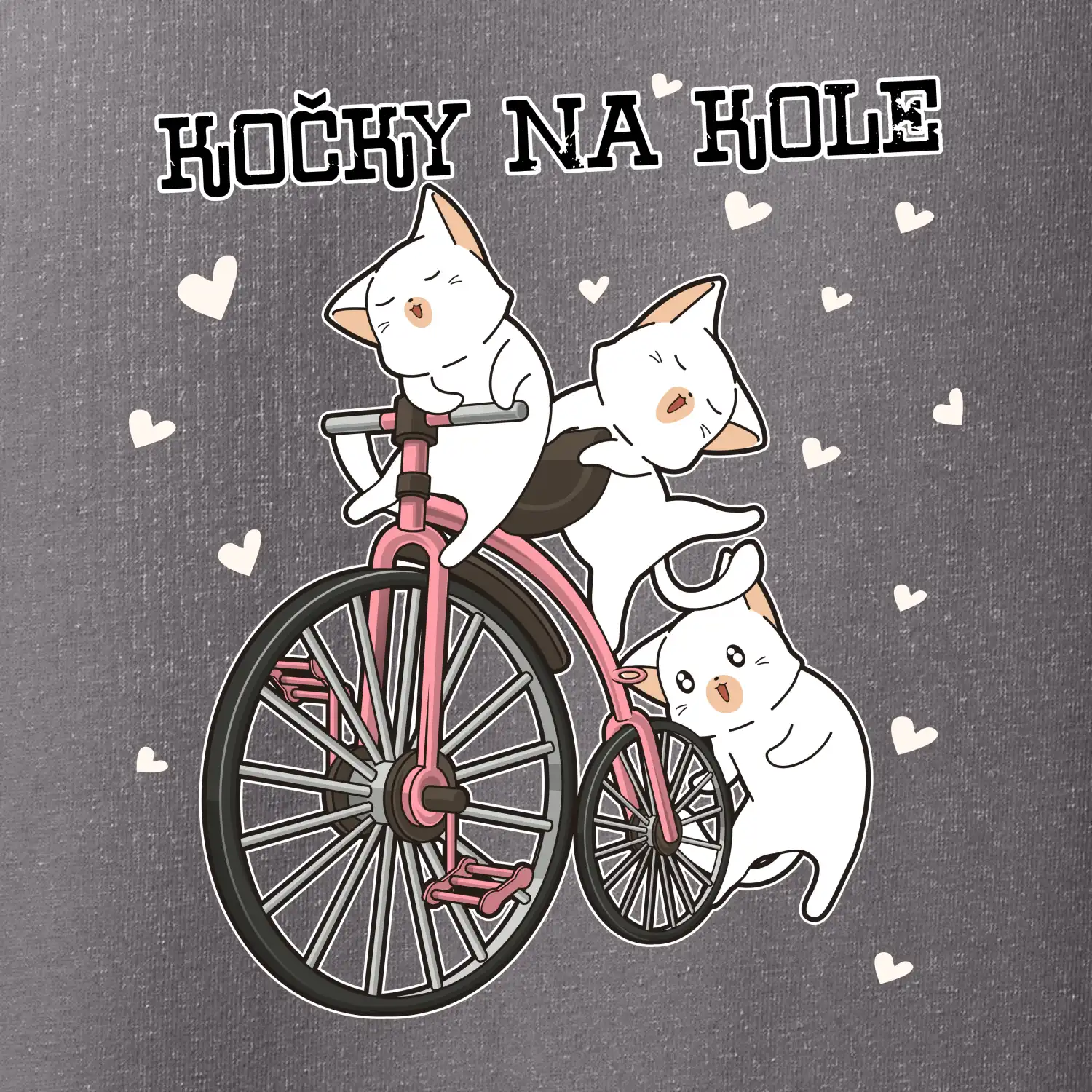 Kočky na kole