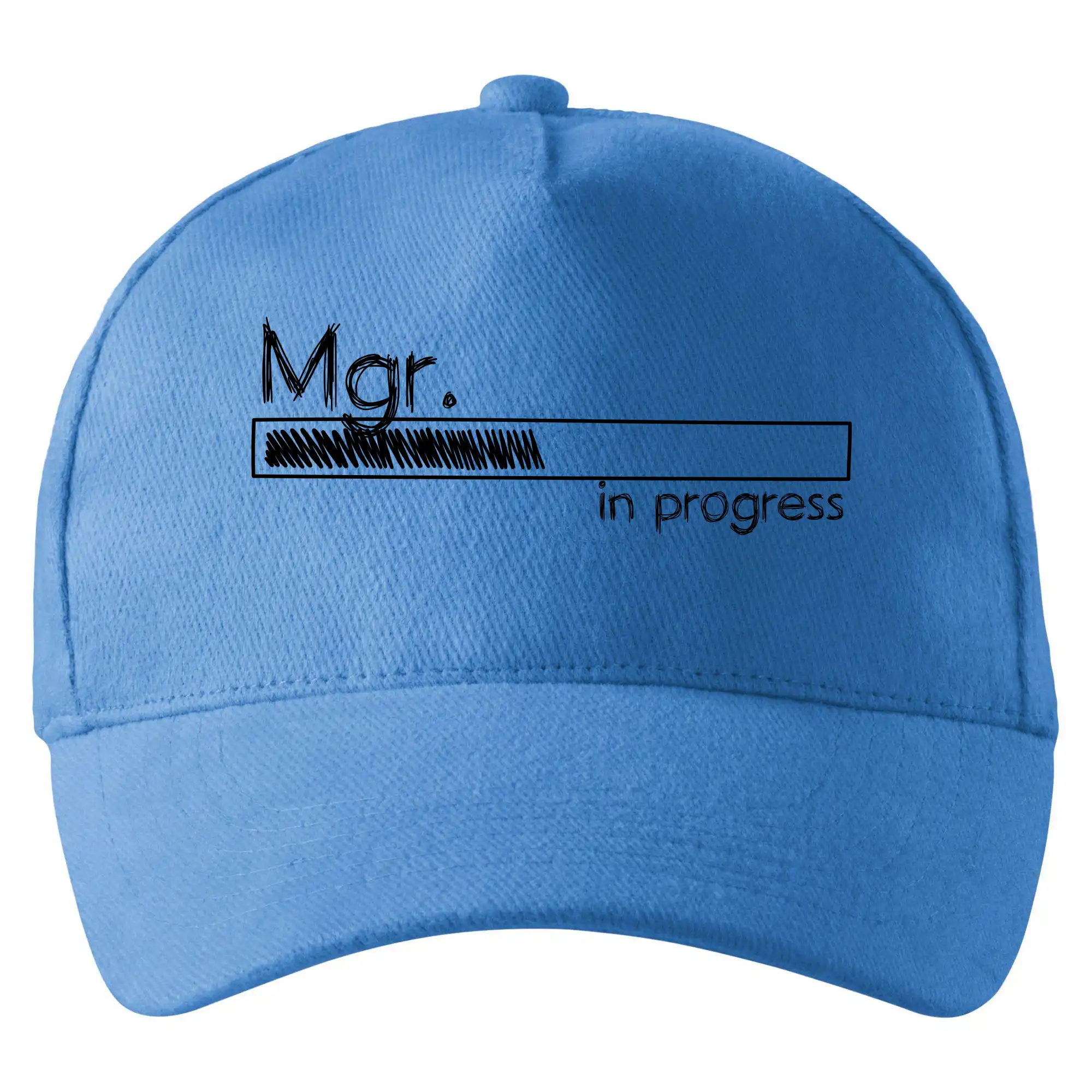 In progress titul Mgr.  magistr / magistra