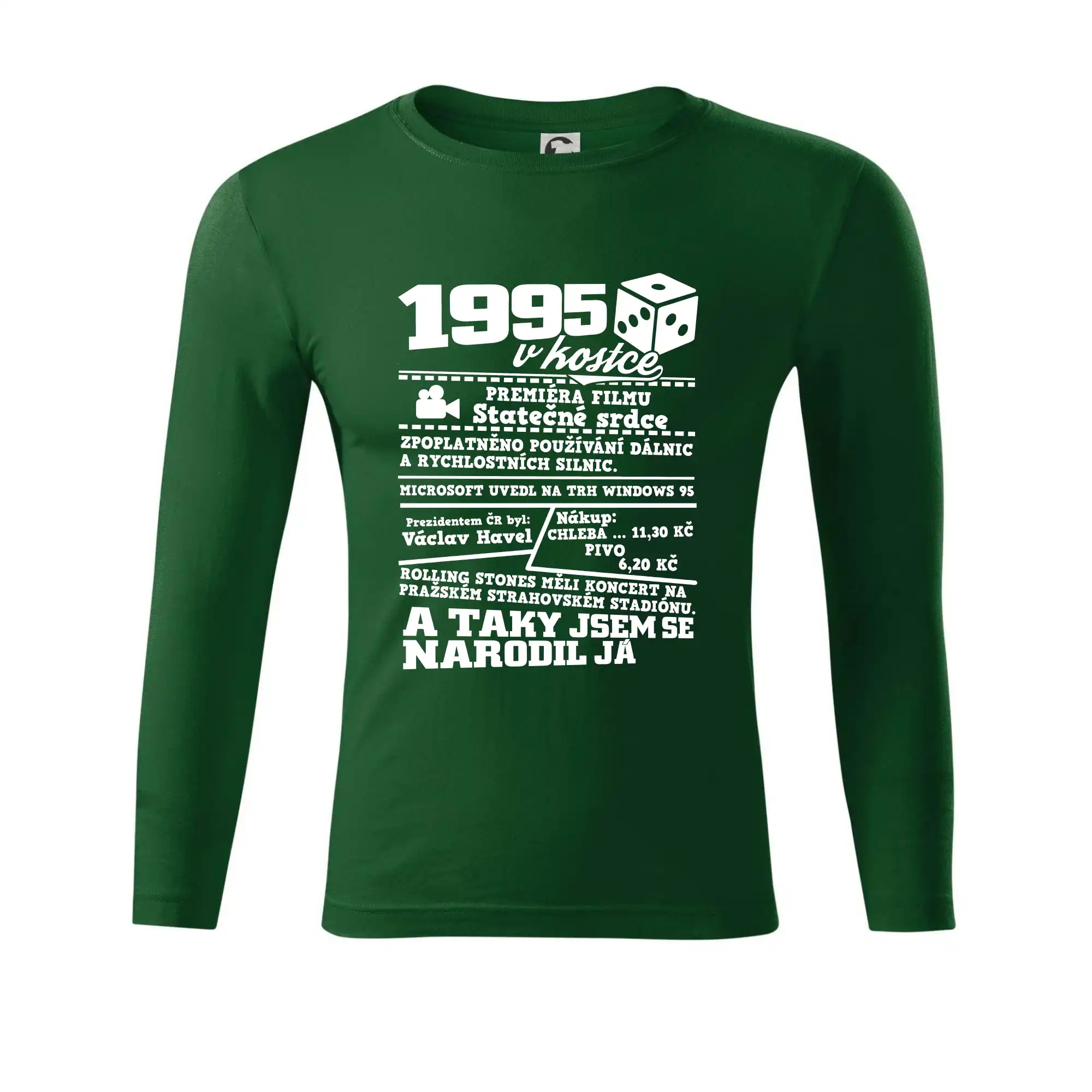 1995 v kostce