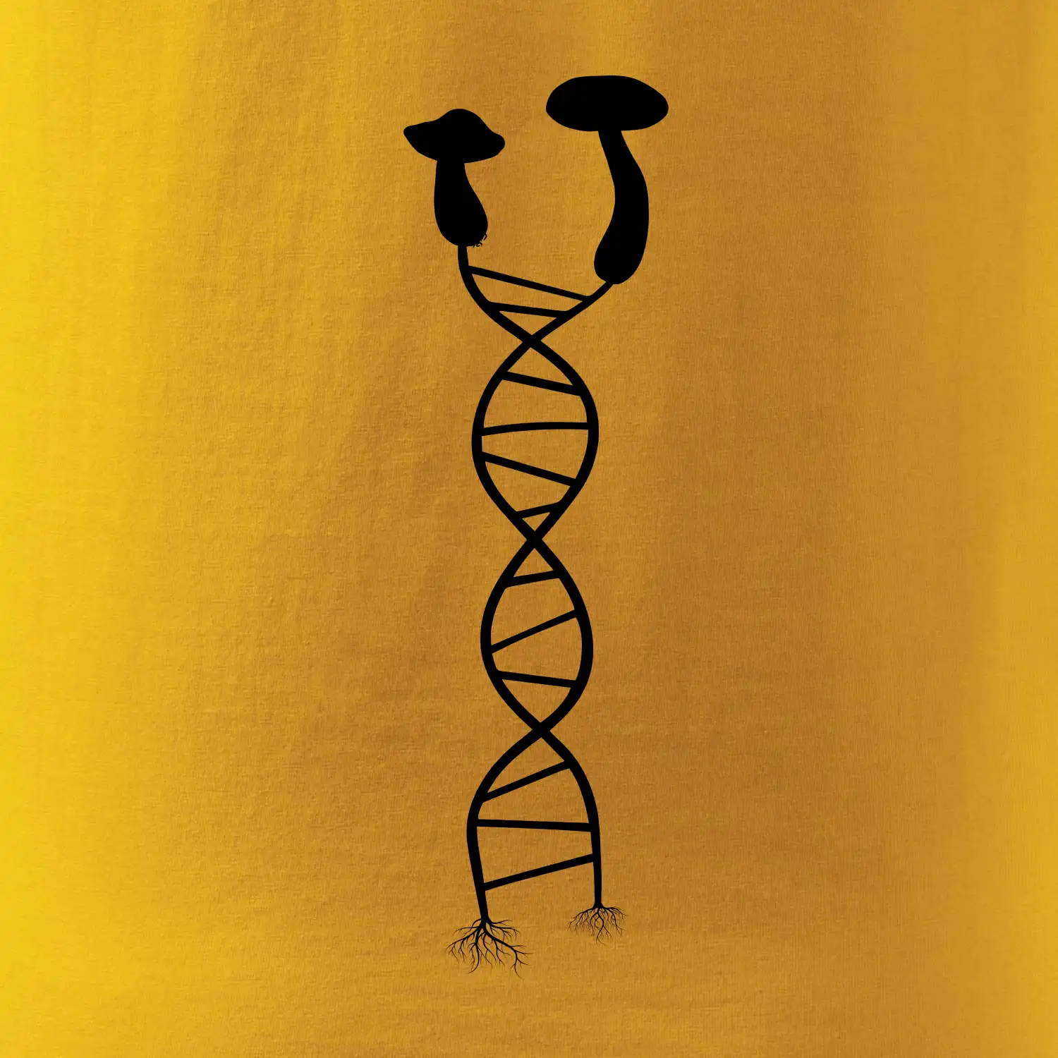 DNA houby