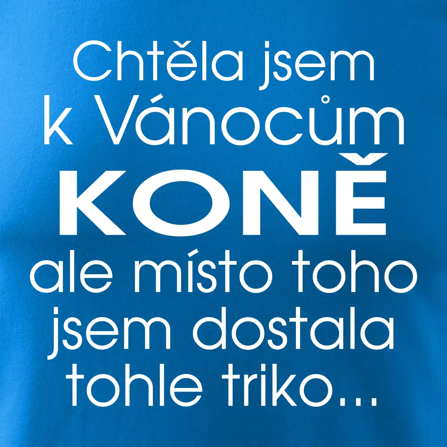 Chtěla jsem k Vánocům koně