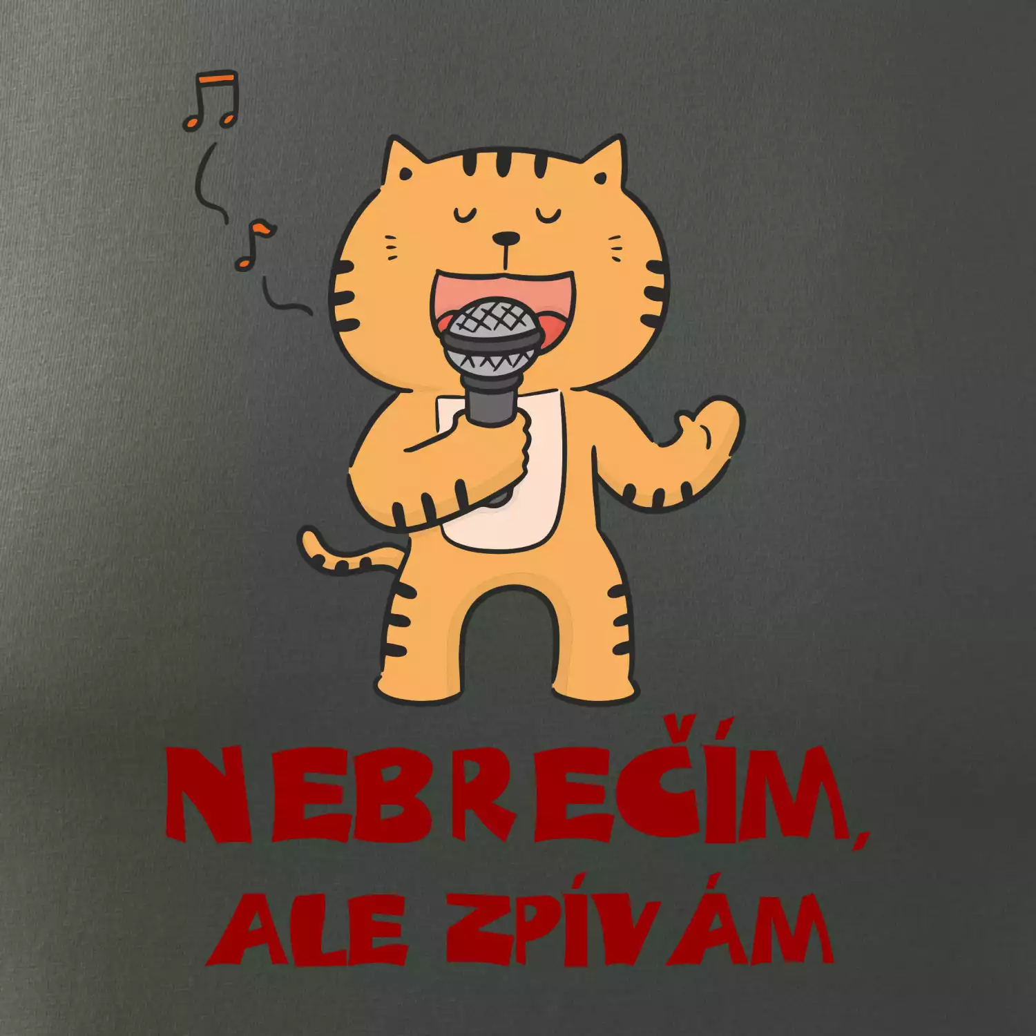 Nebrečím, ale zpívám