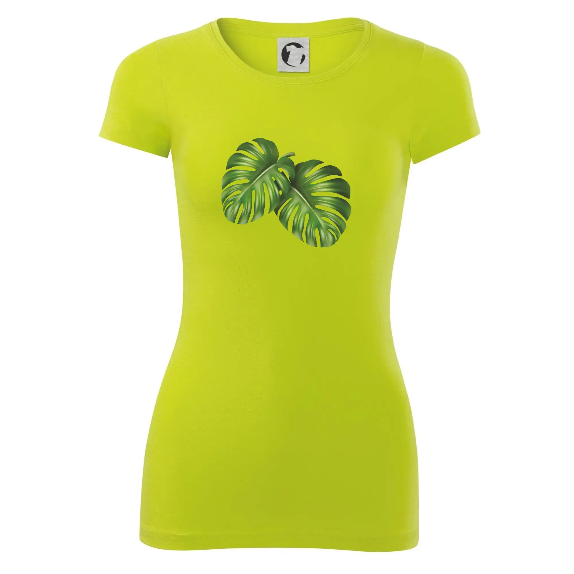 Monstera - dva listy