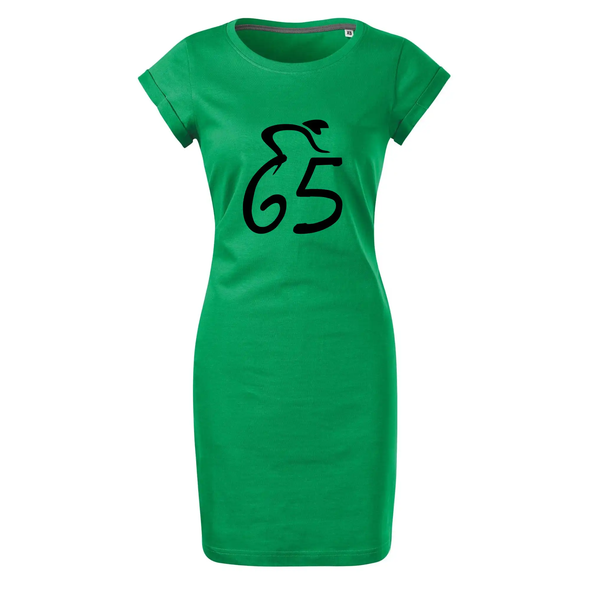 Cyklista slaví pětašedesátku (65)